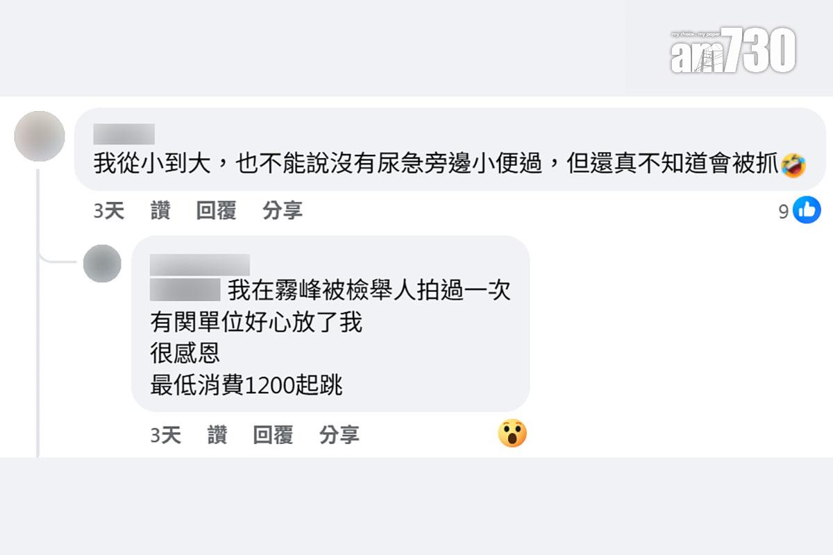 嘉義縣環保局向隨處便溺男子發出的告票,附有事發一刻特寫和貨車車牌,網民留言回應。(FB群組「嘉義綠豆大小事」截圖)