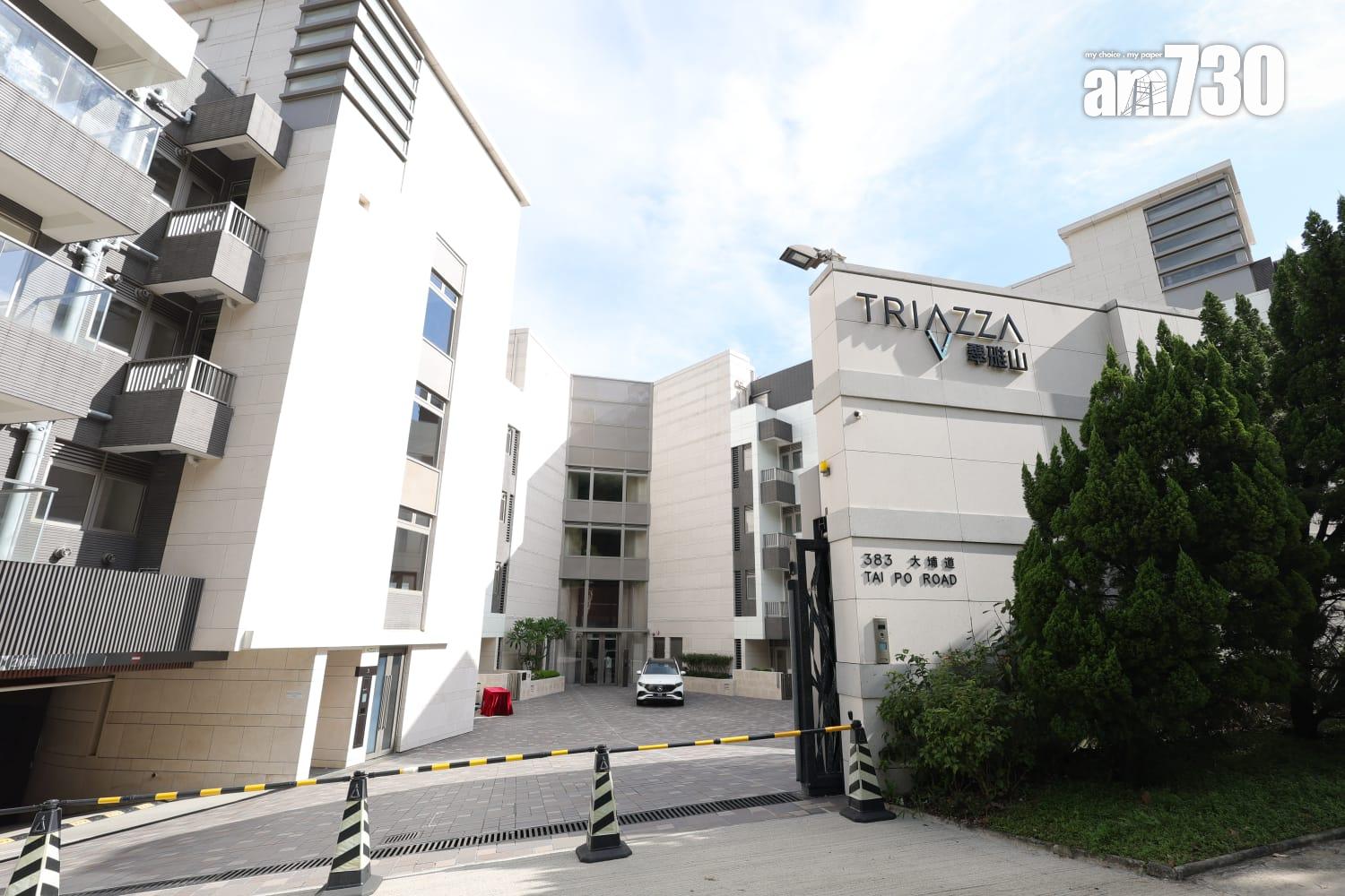 翠雅山精選4伙推出優惠 入場1535呎兩房呎價1.45萬|現樓豪宅