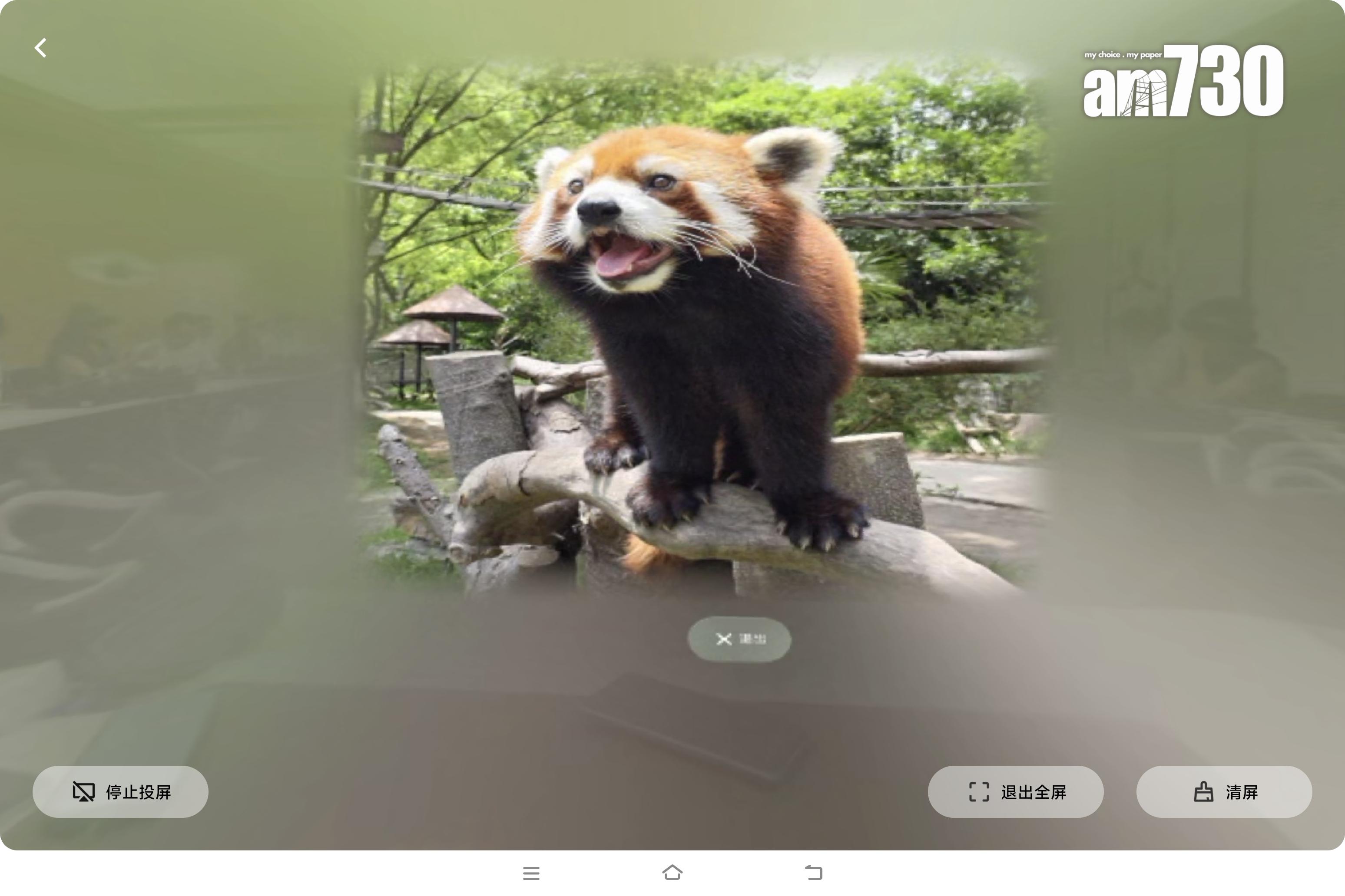 vivo Vision觀看動態相片充滿立體感。
