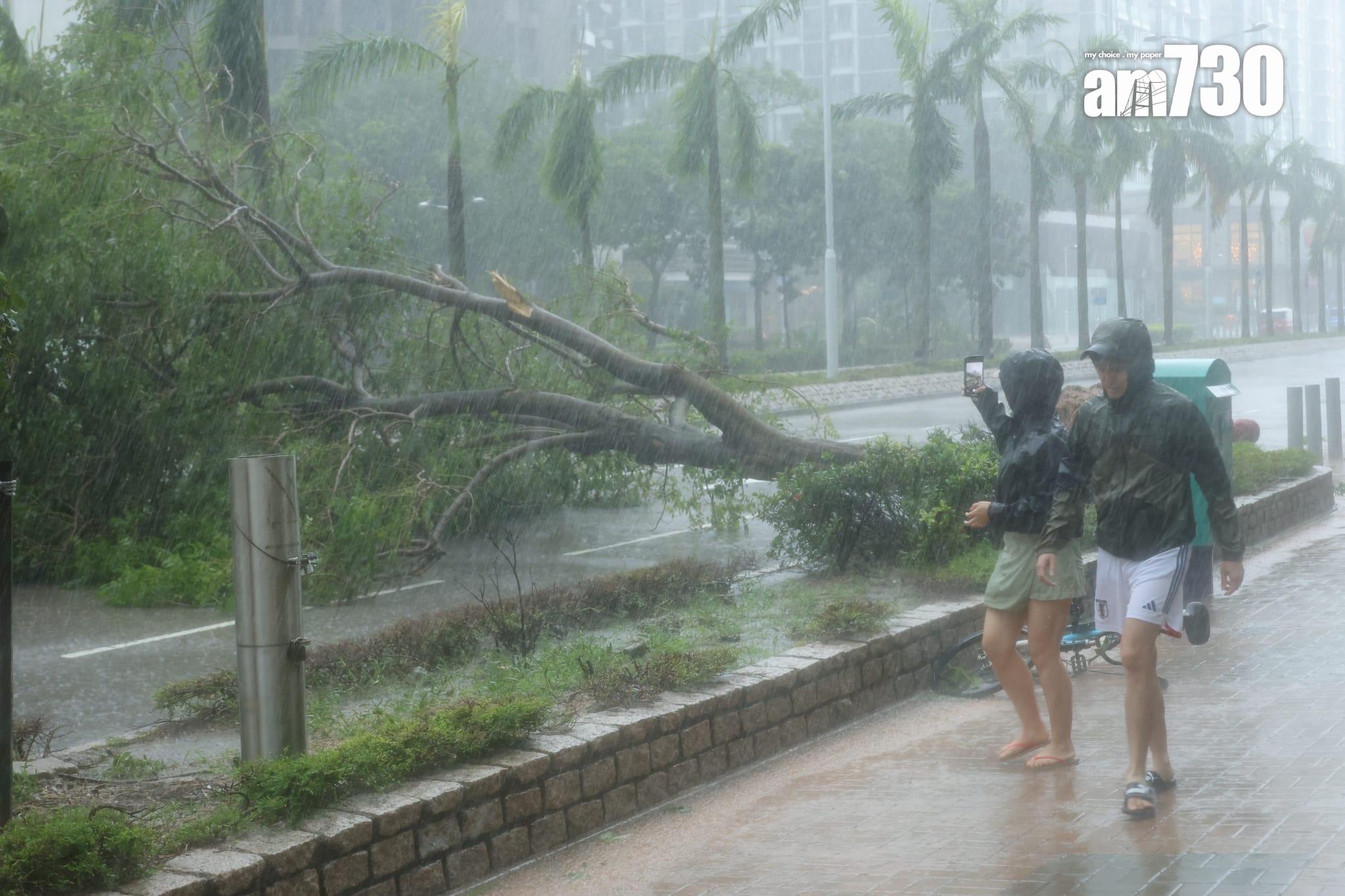 颱風樺加沙|十號波下將軍澳海水直接湧岸(林俊源攝)