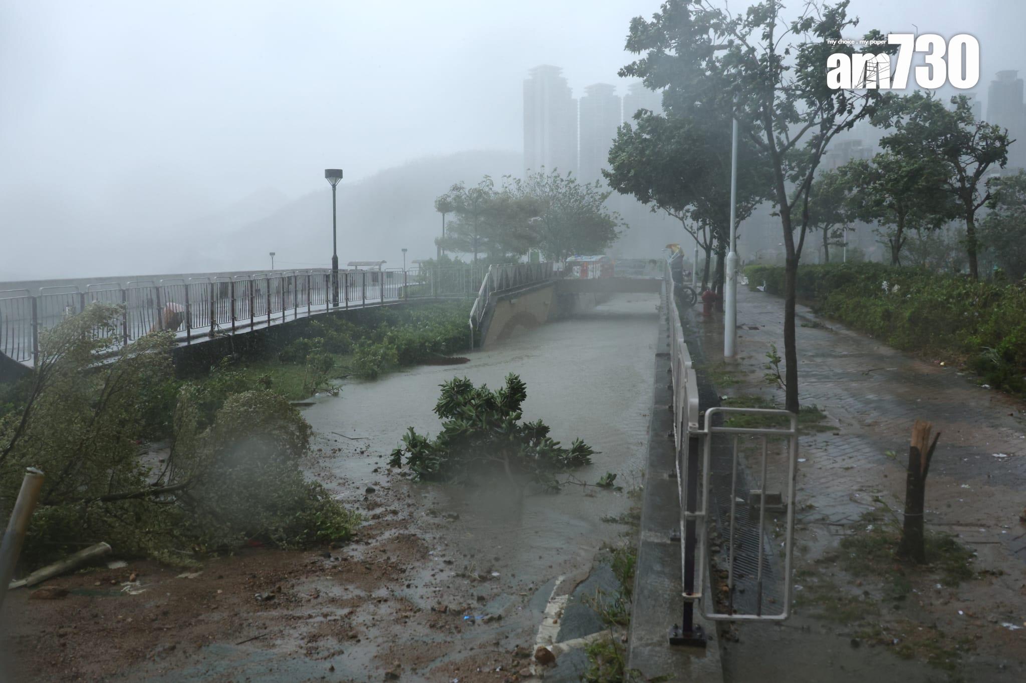 颱風樺加沙|十號波下將軍澳海水直接湧岸(林俊源攝)
