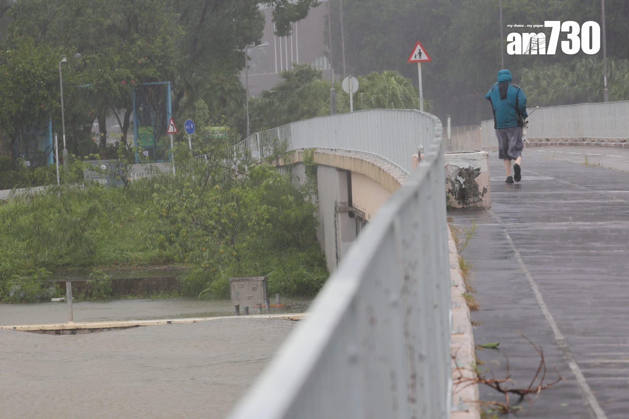 樺加沙肆虐下沙田情況。(吳康琦攝)