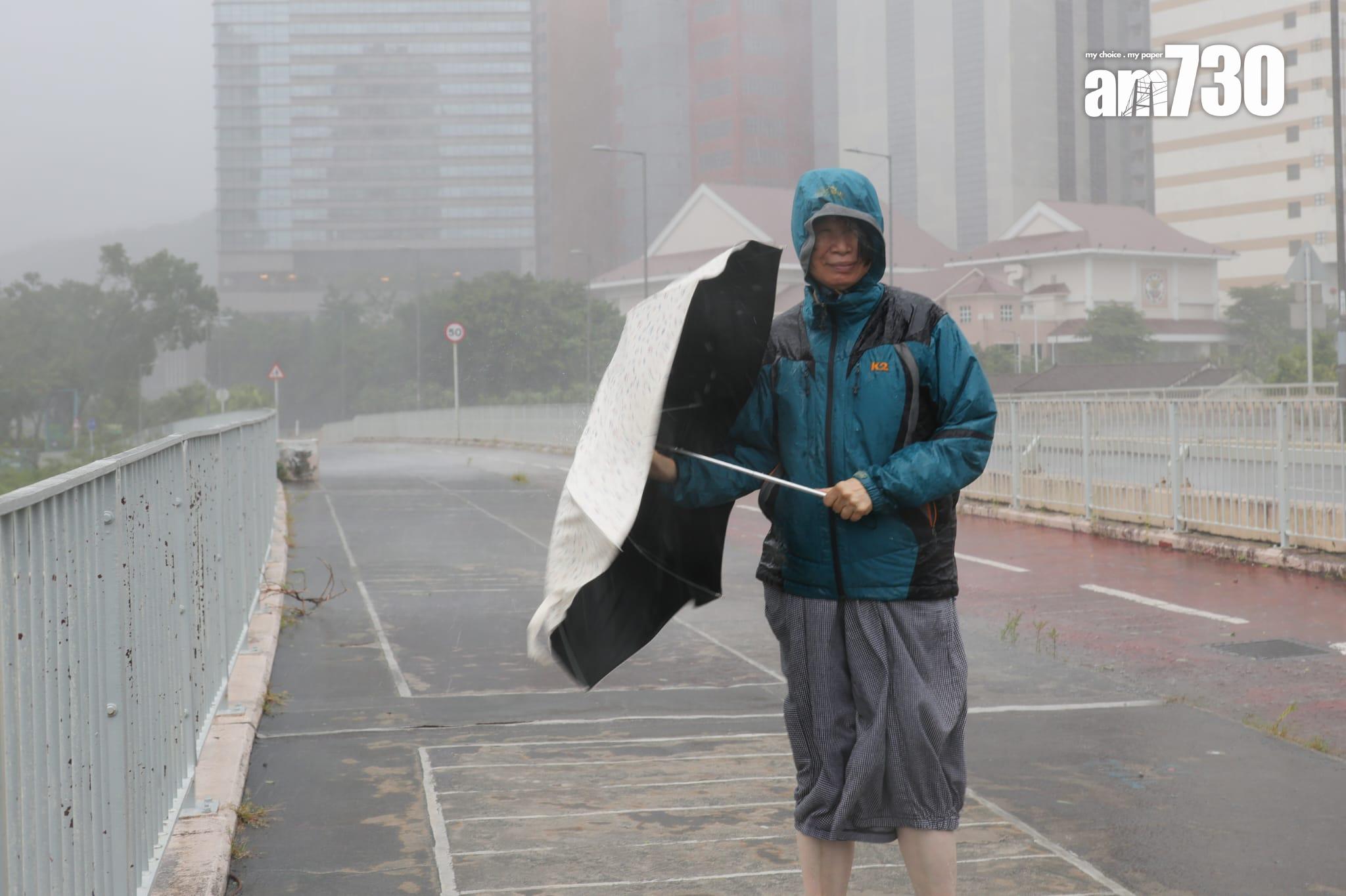 樺加沙肆虐下沙田情況。(吳康琦攝)