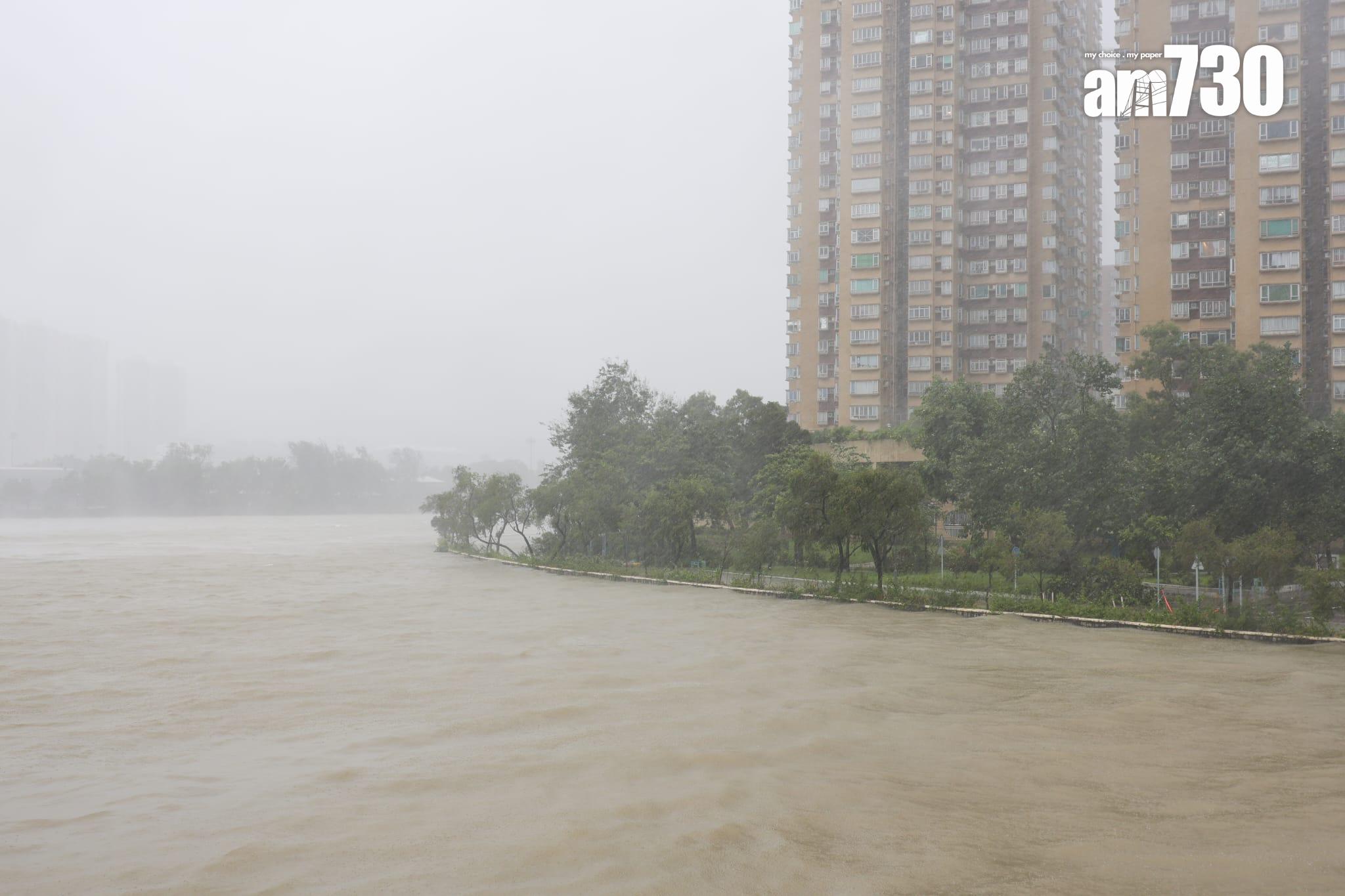 樺加沙肆虐下沙田情況。(吳康琦攝)