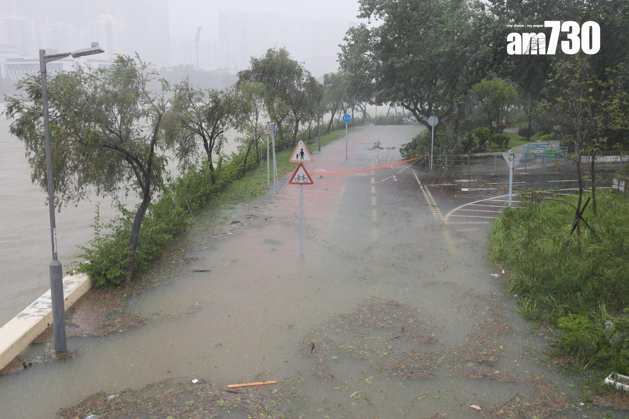 樺加沙肆虐下沙田情況。(吳康琦攝)