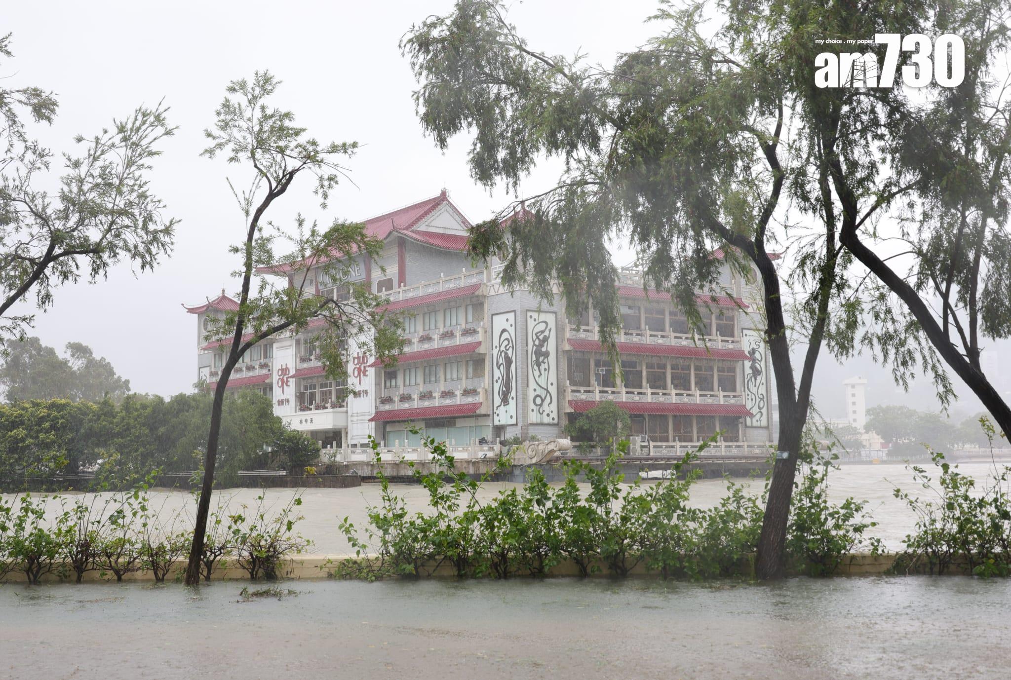 樺加沙肆虐下沙田情況。(吳康琦攝)