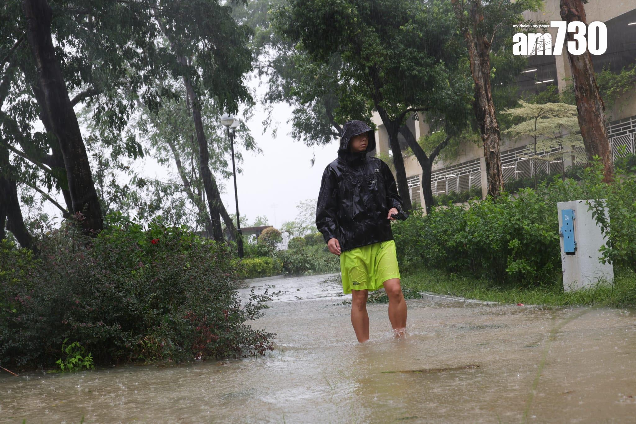 樺加沙肆虐下沙田情況。(吳康琦攝)