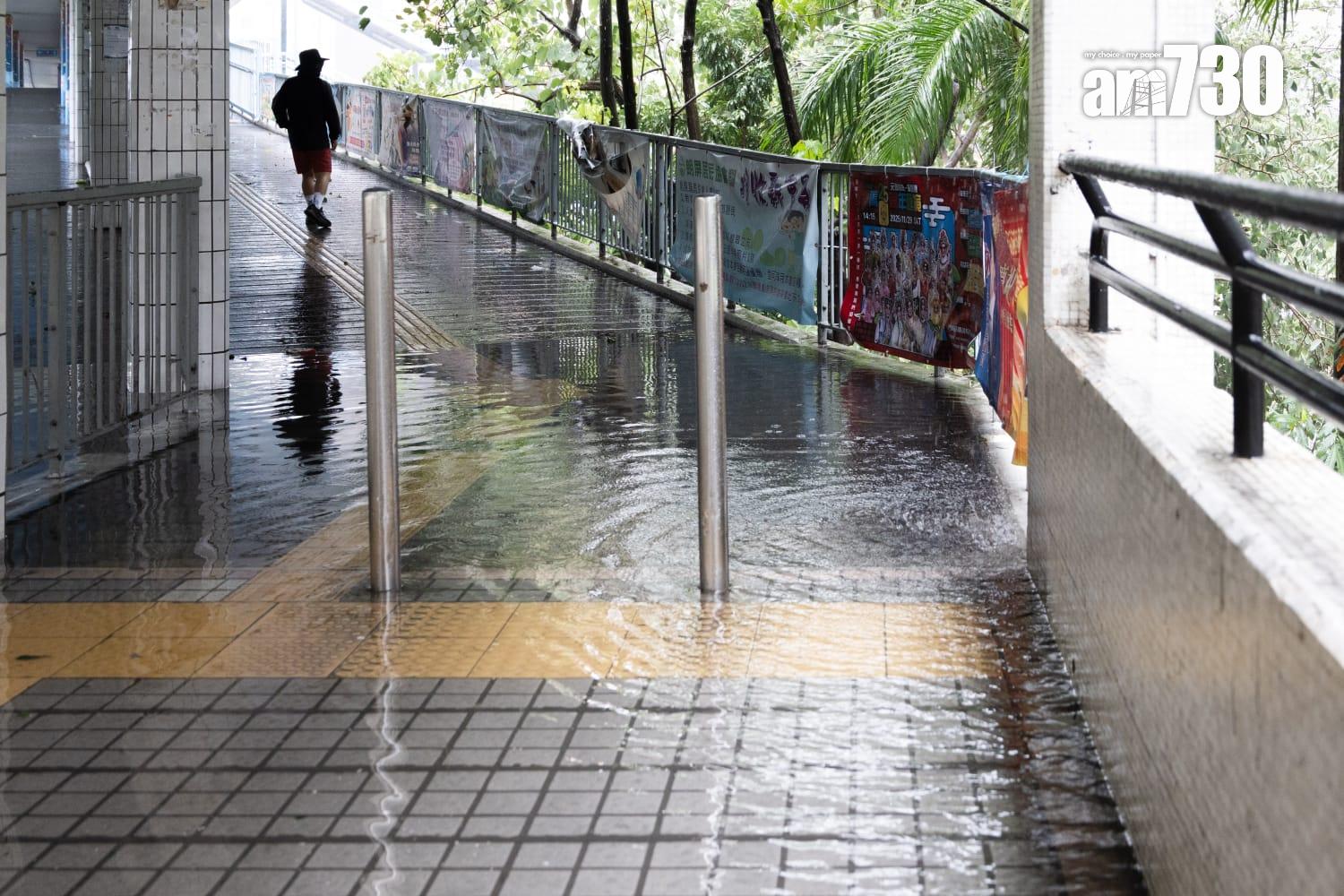 樺加沙肆虐下元朗情況。(周令知攝)