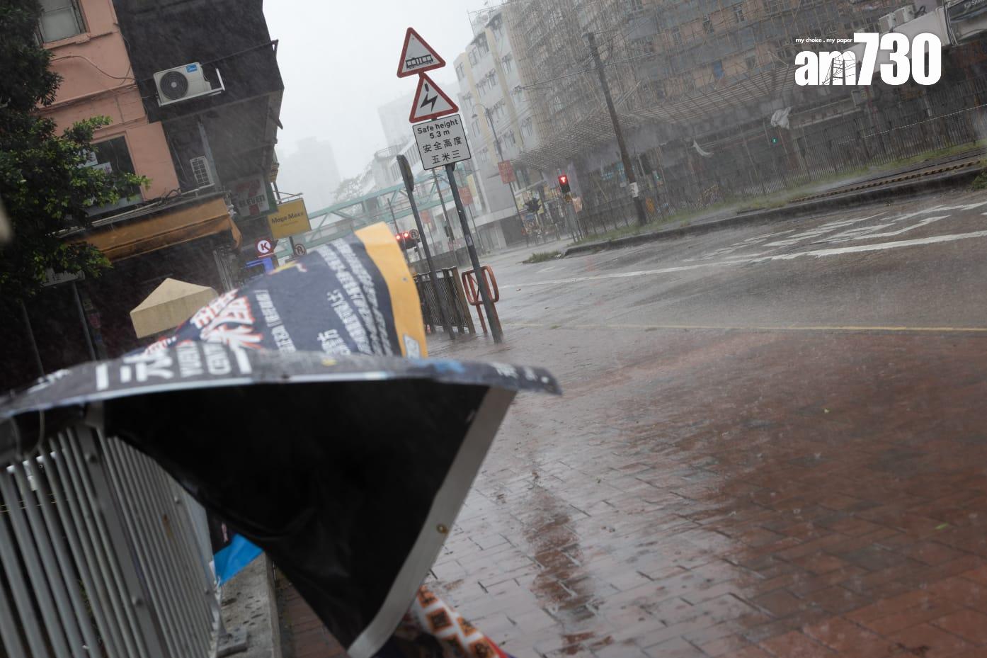 樺加沙肆虐下元朗情況。(周令知攝)