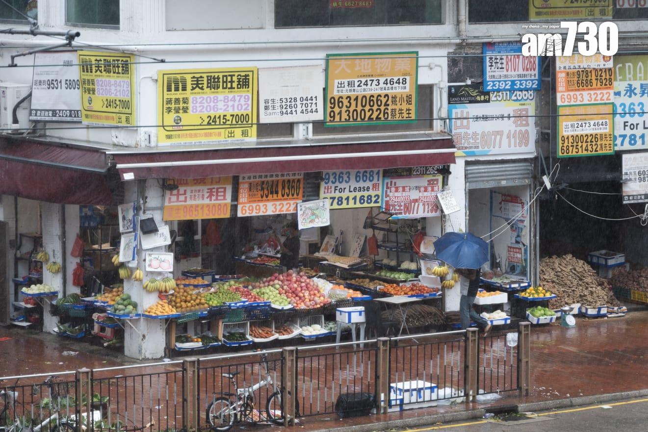 樺加沙肆虐下元朗情況。(周令知攝)