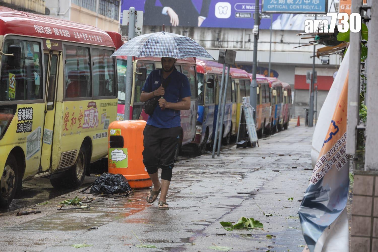樺加沙肆虐下元朗情況。(周令知攝)