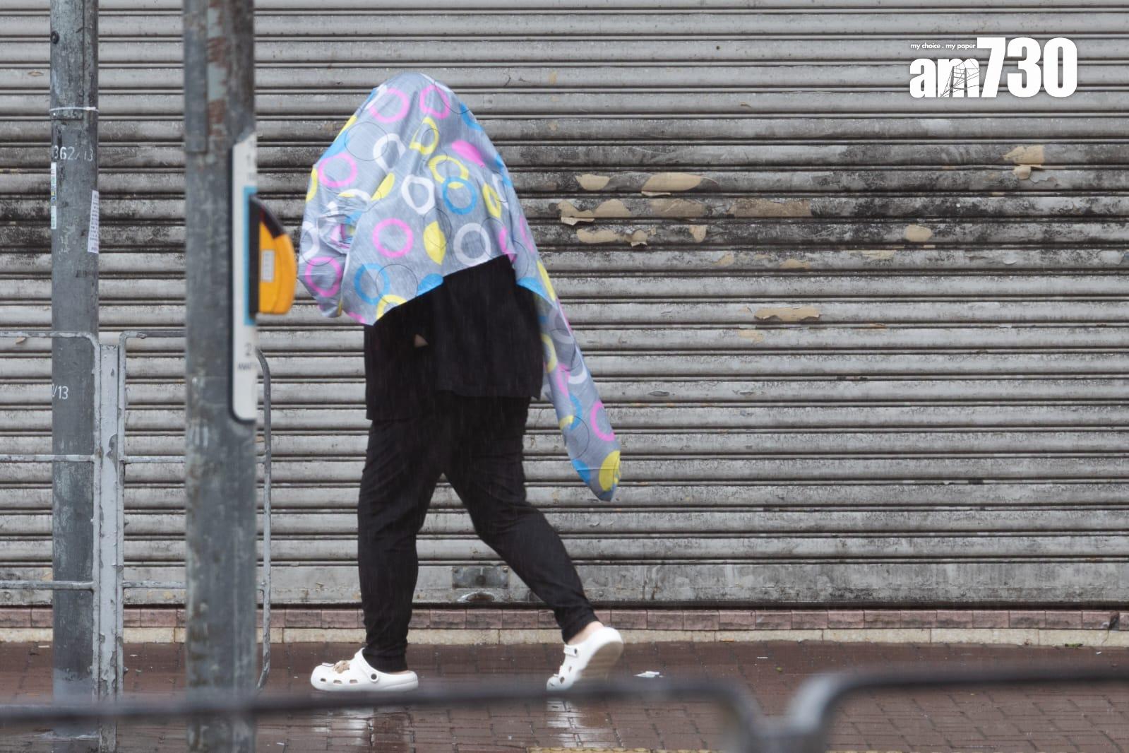 樺加沙肆虐下元朗情況。(周令知攝)