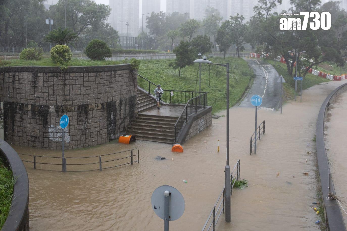 樺加沙肆虐下大埔情況。(蘇文傑攝)