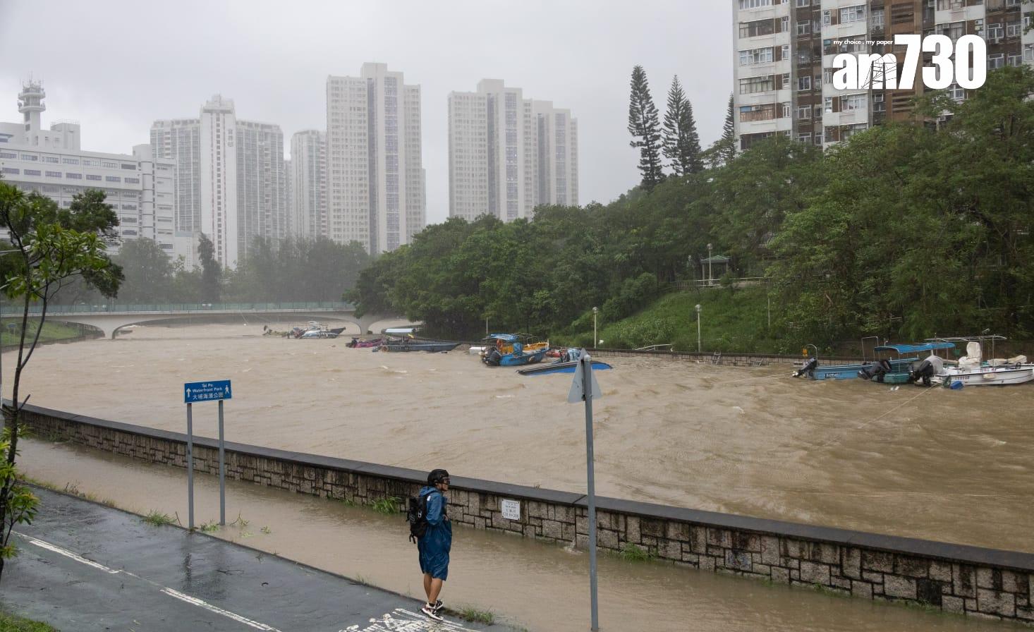 樺加沙肆虐下大埔情況。(蘇文傑攝)