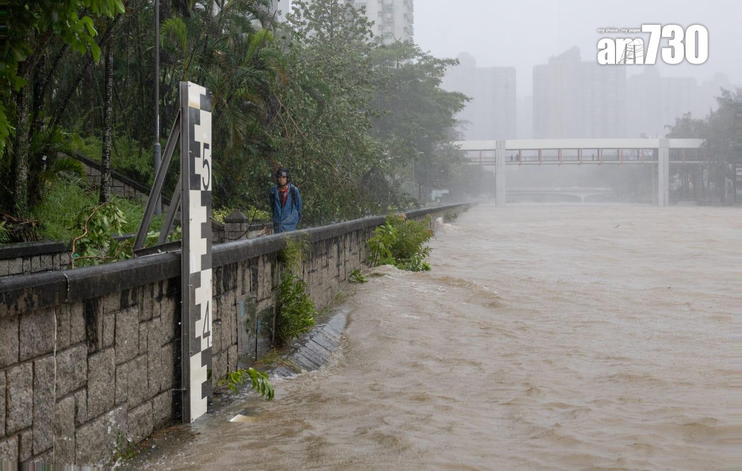 樺加沙肆虐下大埔情況。(蘇文傑攝)