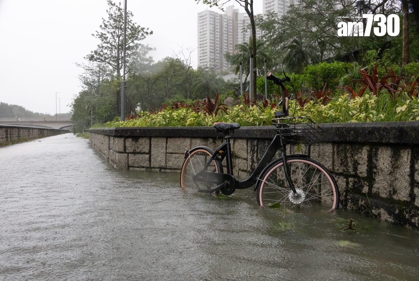 樺加沙肆虐下大埔情況。(蘇文傑攝)