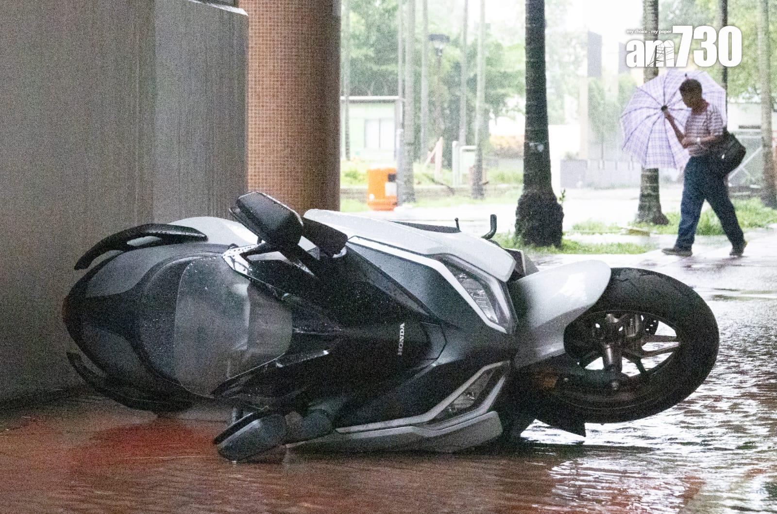 樺加沙肆虐下大埔情況。(蘇文傑攝)