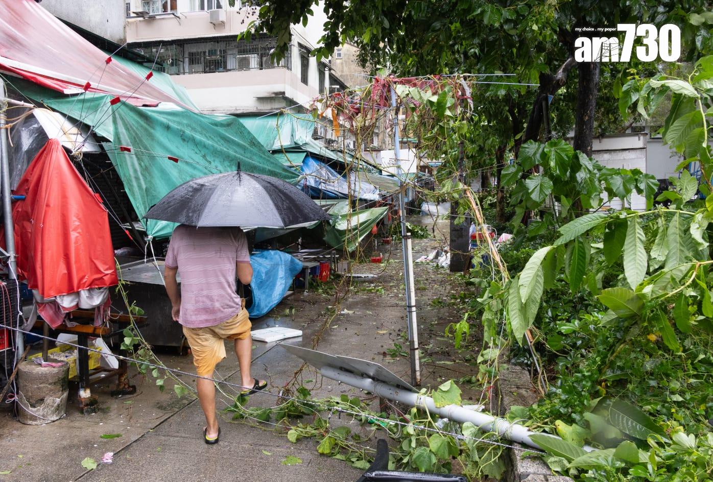 樺加沙肆虐下大埔情況。(蘇文傑攝)