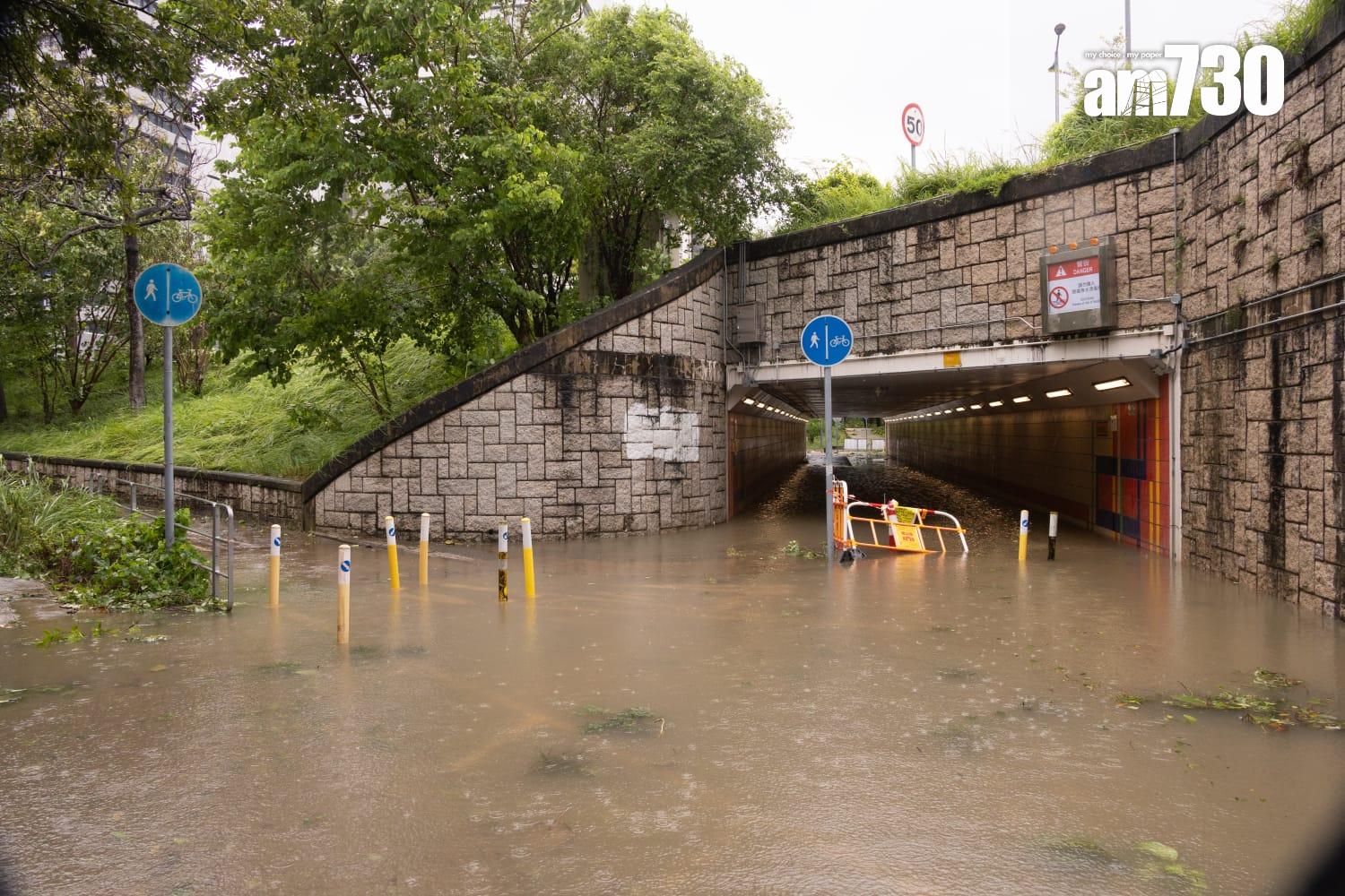 樺加沙肆虐下大埔情況。(蘇文傑攝)