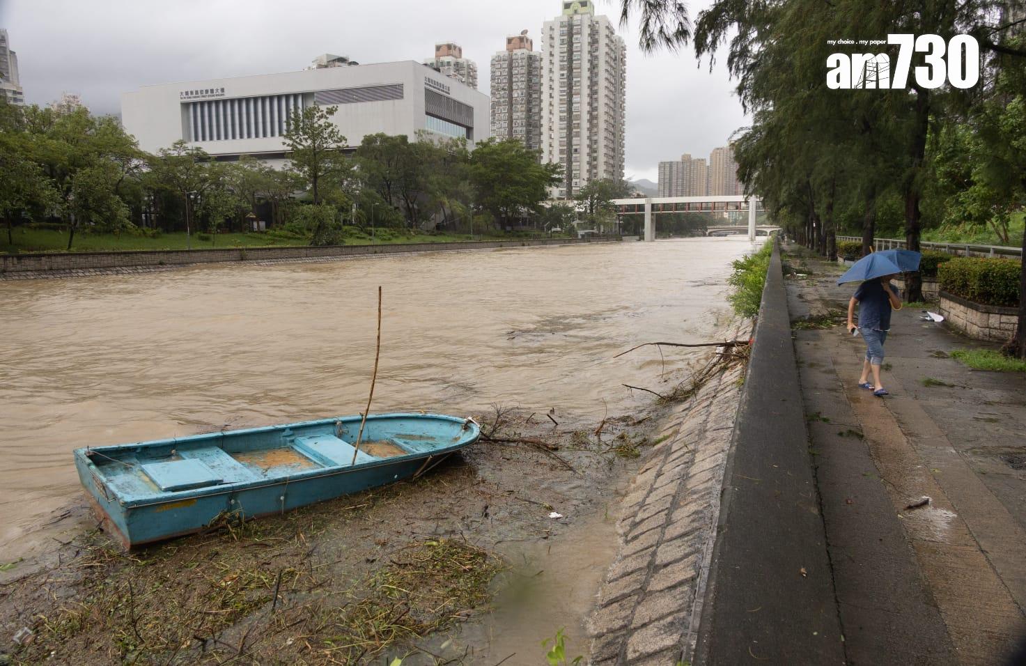 樺加沙肆虐下大埔情況。(蘇文傑攝)