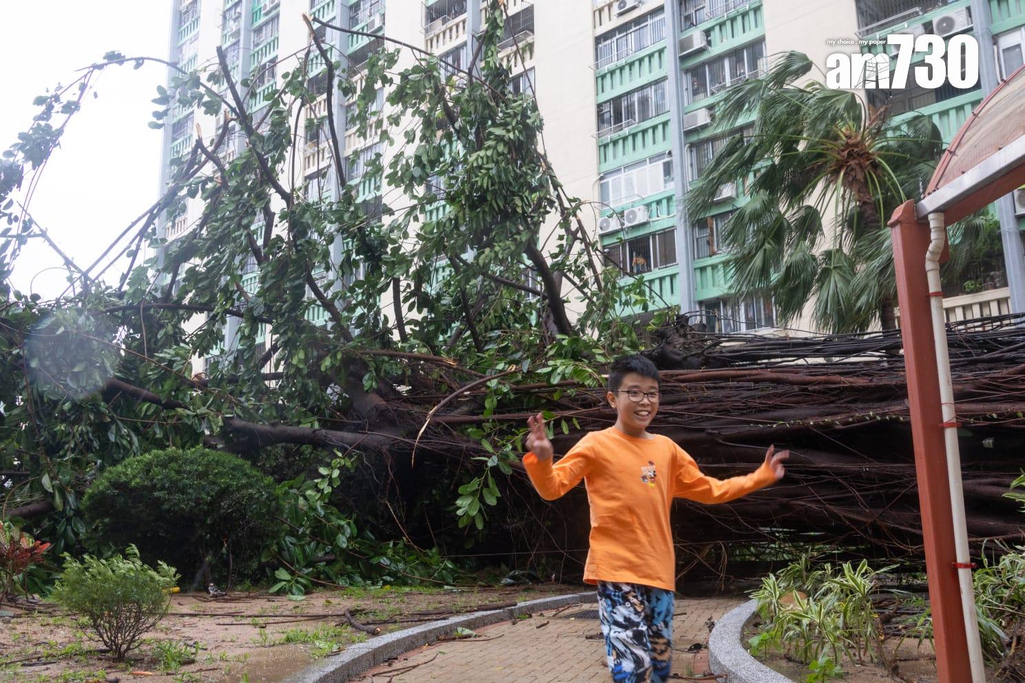 樺加沙肆虐下何文田愛民邨情況。(蘇文傑攝)