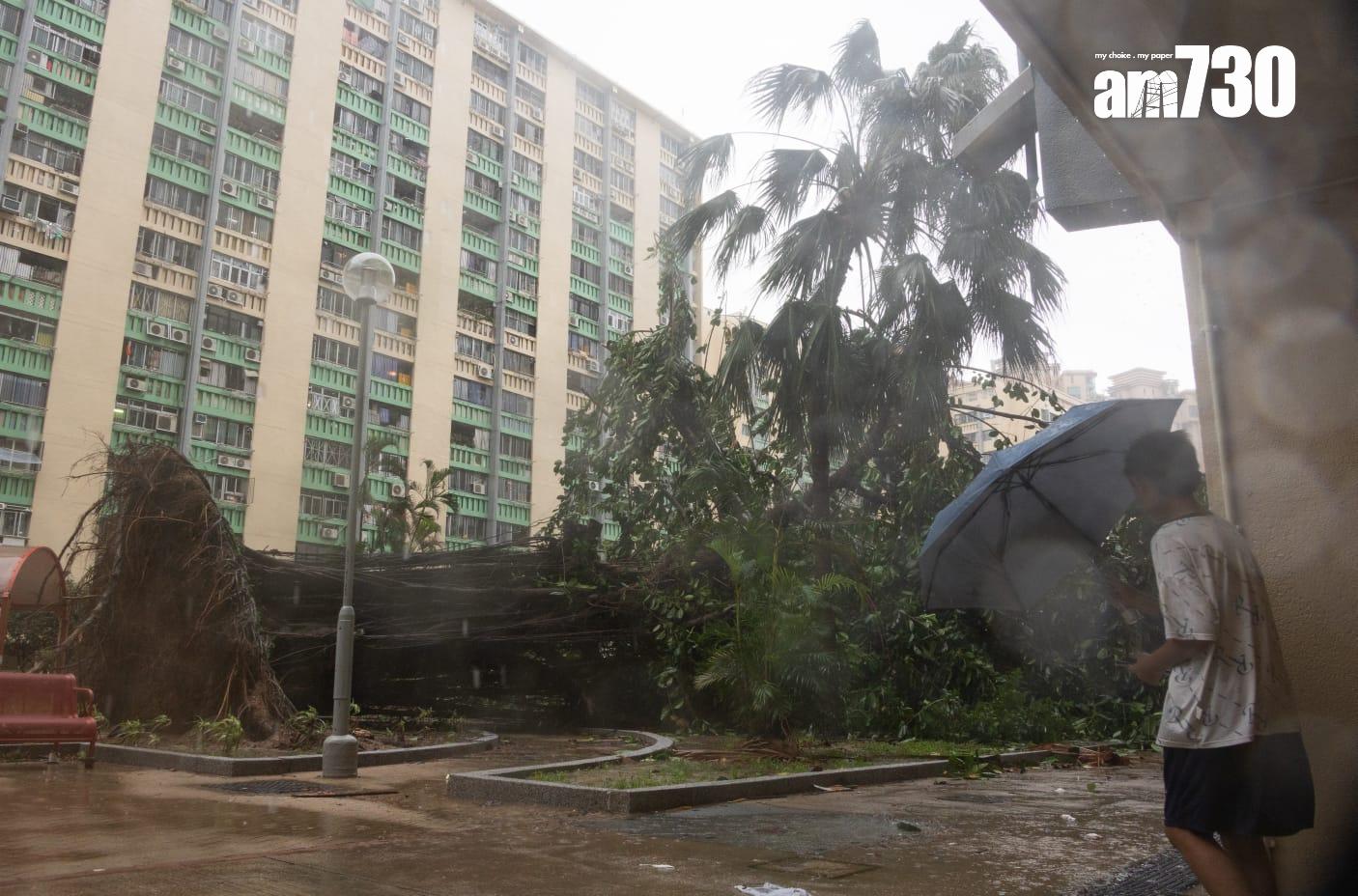 樺加沙肆虐下何文田愛民邨情況。(蘇文傑攝)