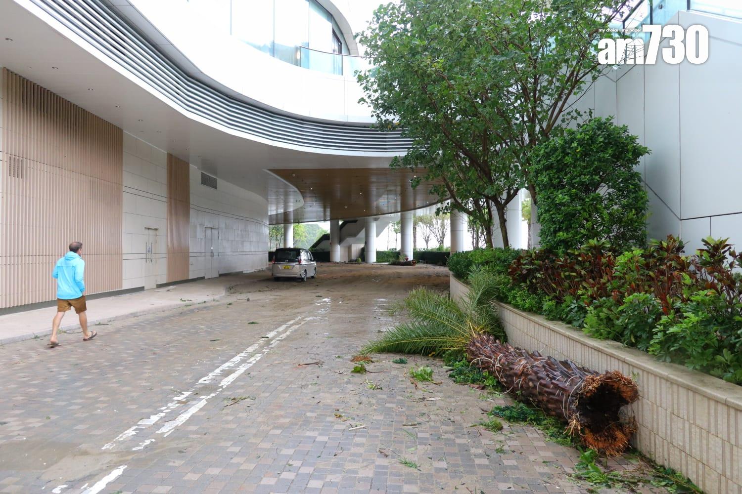 香港富麗敦海洋公園酒店。(鍾式明攝)