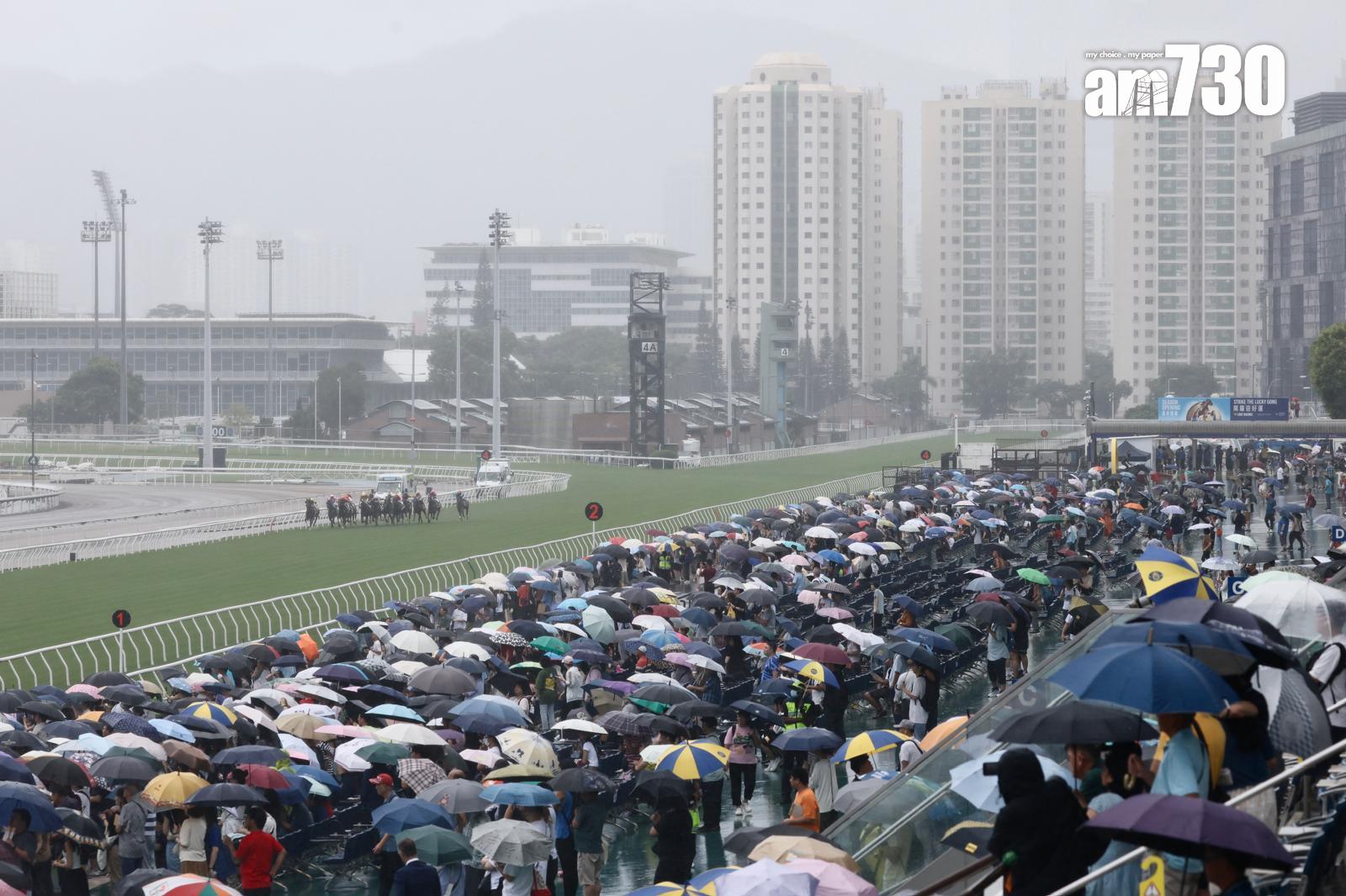 馬會今日開鑼 打風無阻馬迷熱情 (蘇文傑攝)