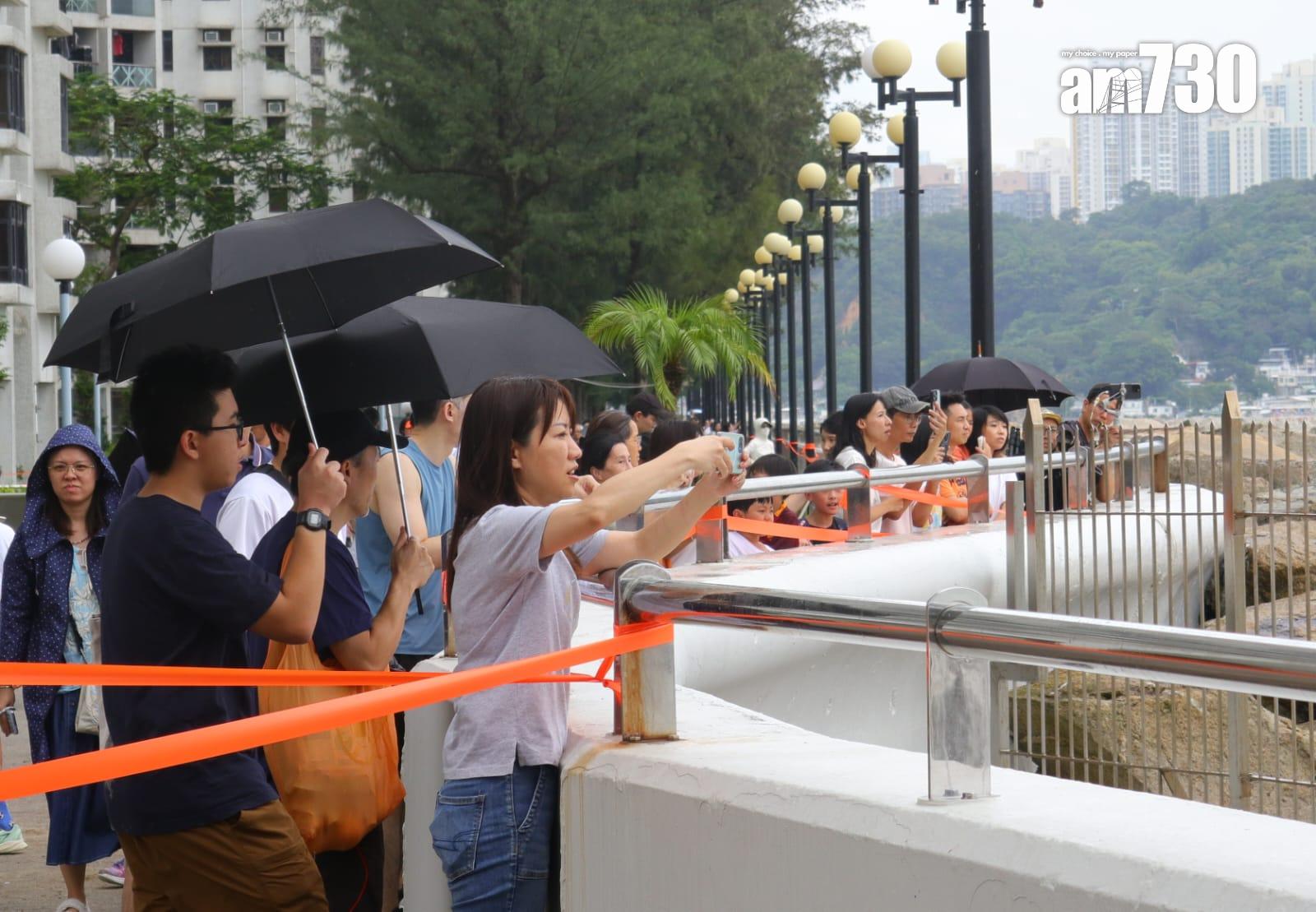 大批居民到杏花邨追風。