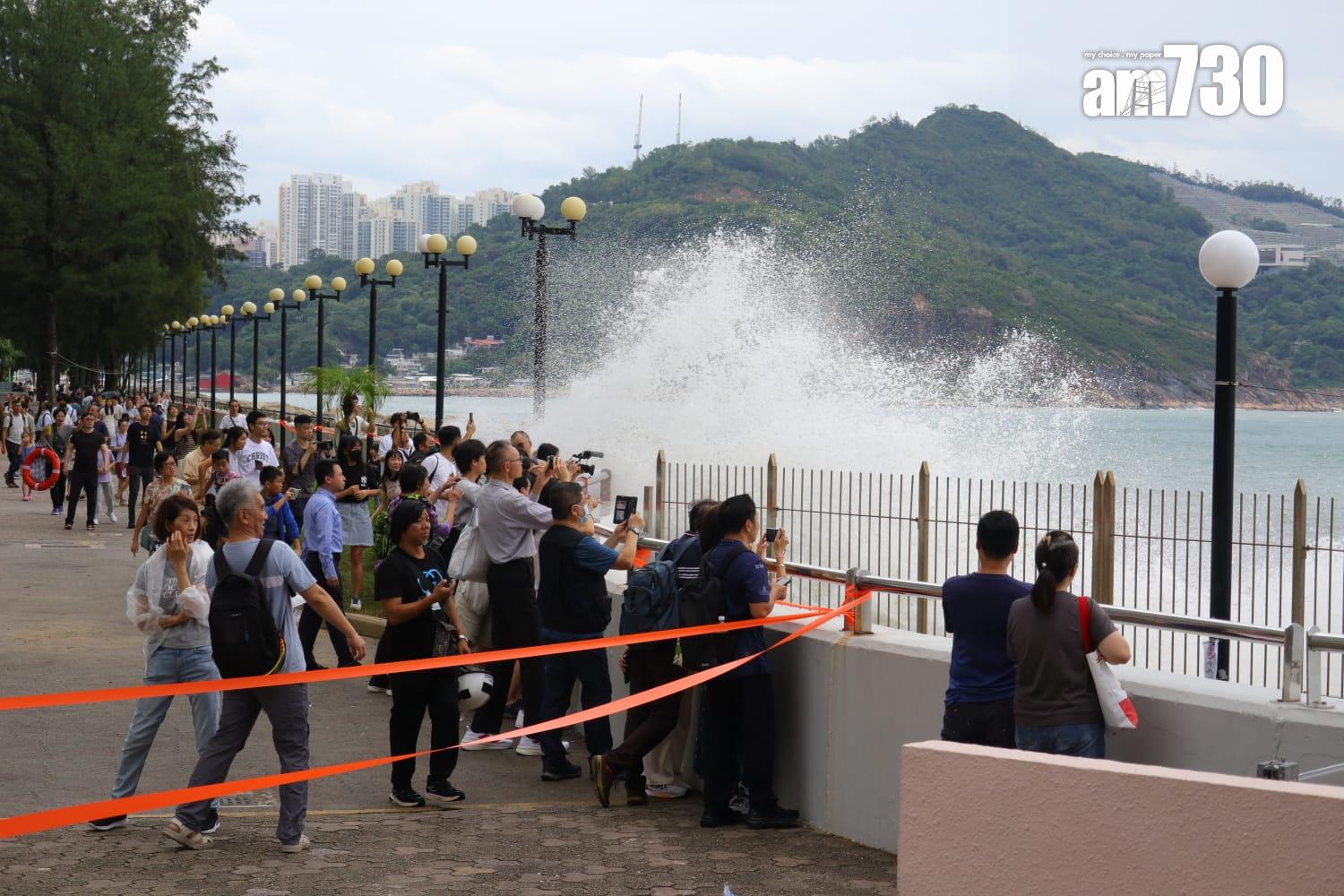 大批居民到杏花邨追風。(鍾式明攝)