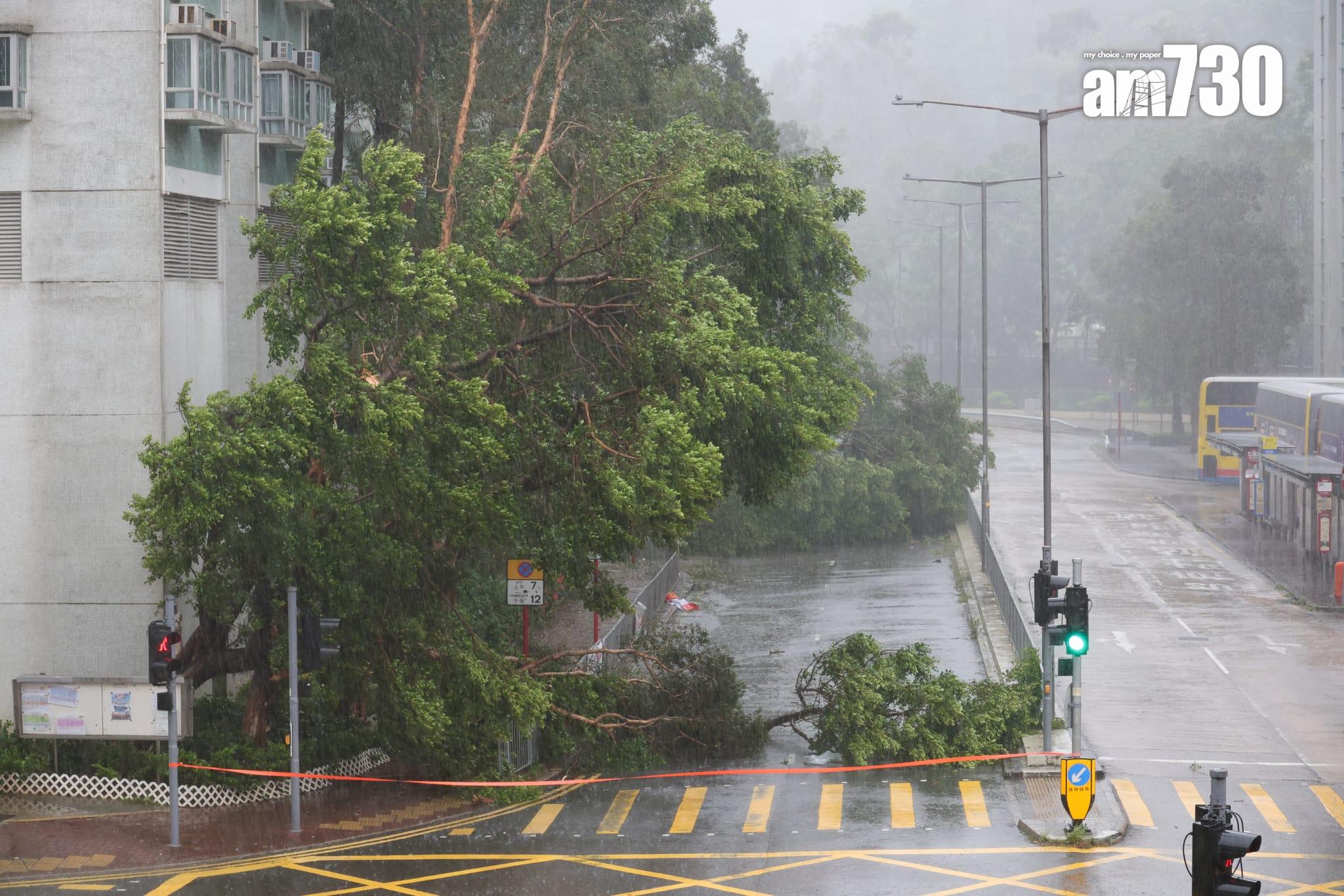 颱風樺加沙|十號波下沙田狀況。(吳康琦攝)