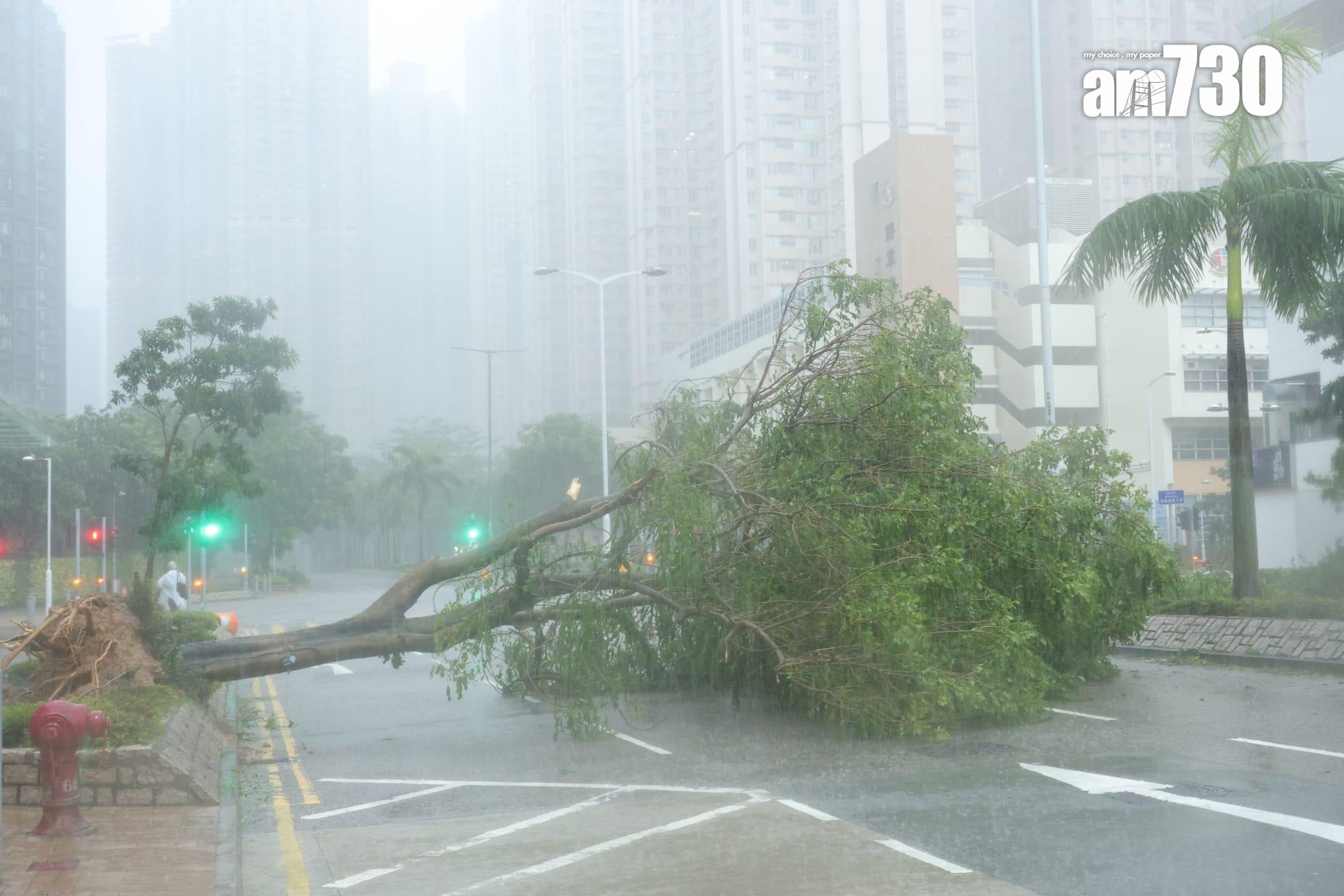 颱風樺加沙|十號波下將軍澳海水直接湧岸(林俊源攝)