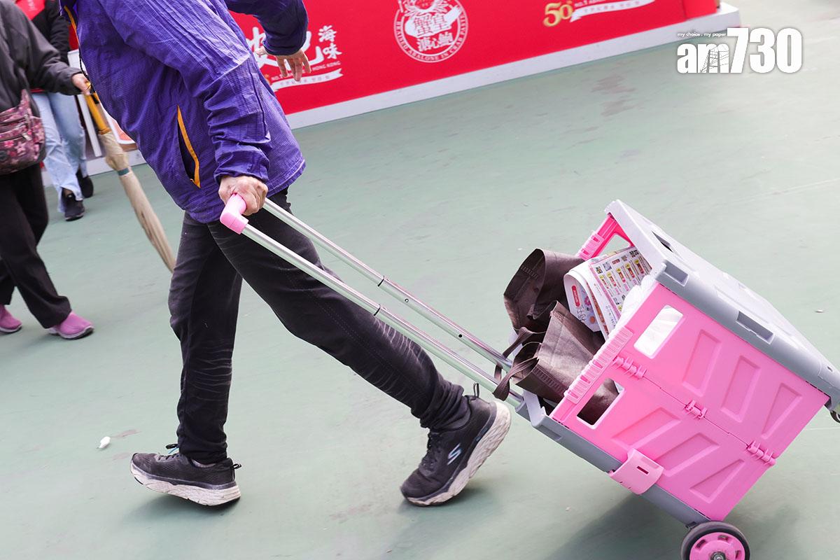 市面近年流行可摺疊的四方型買餸車。(資料圖片/吳康琦攝)