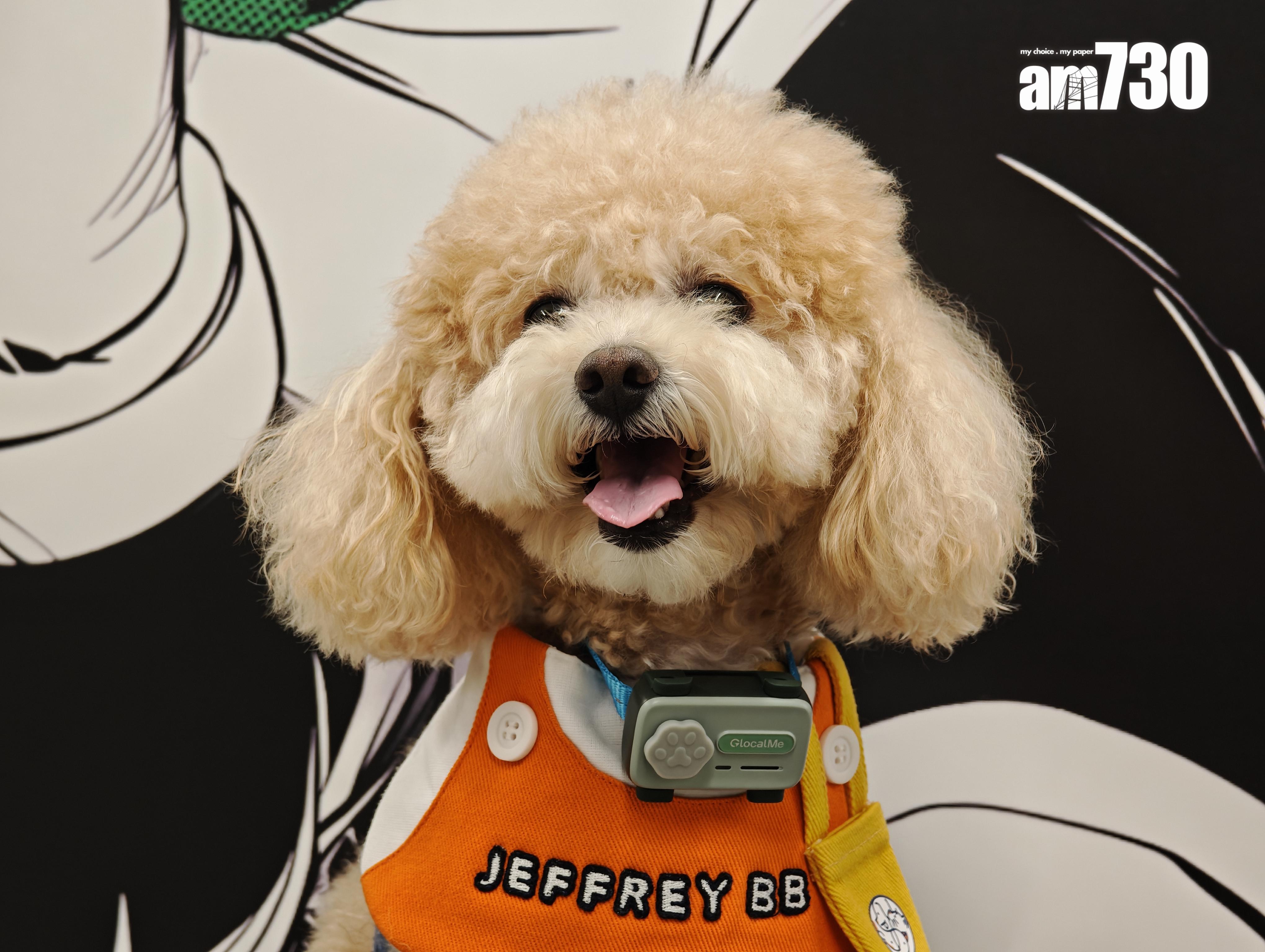 Glocalme PetPhone可掛在狗狗的頸圈上。