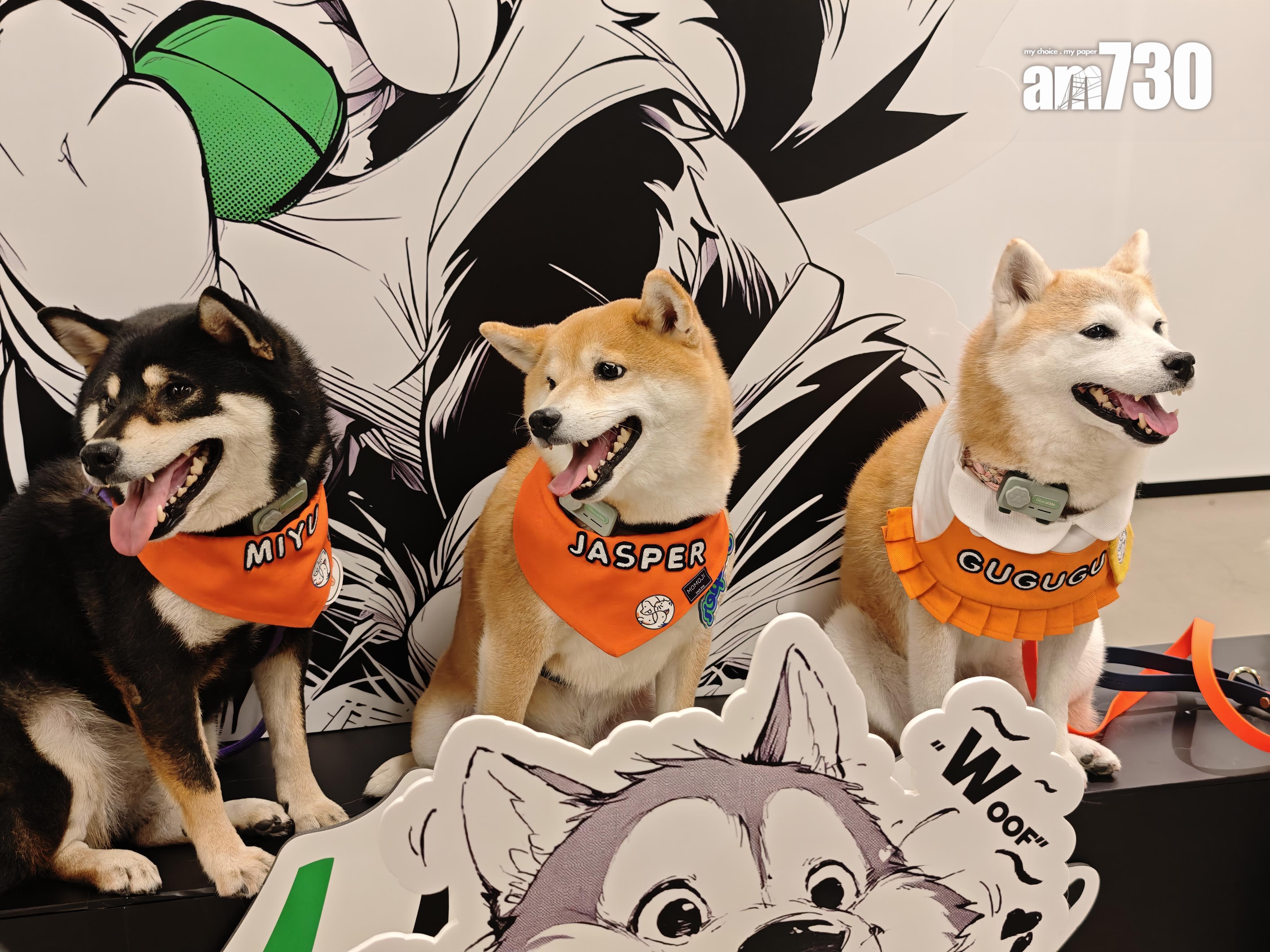 狗狗KOL戴上Glocalme PetPhone。