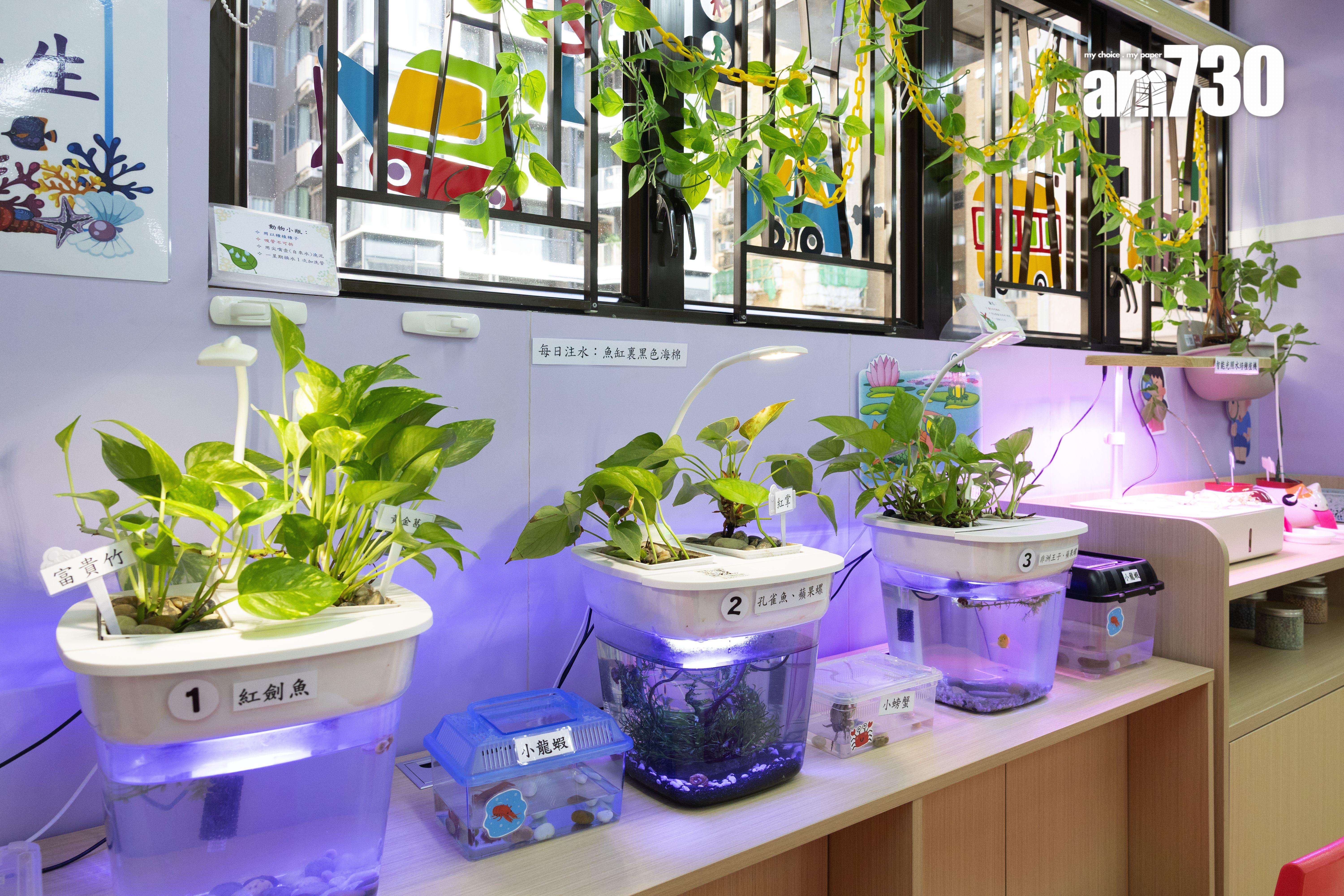 林校長分享,有學生發現科探室內的小螃蟹開始脫殼,便會問老師甚麼是脫殼,老師藉此機會介紹動物脫殼或脫皮的特性,啟發他們對動物的興趣。(蘇文傑攝)