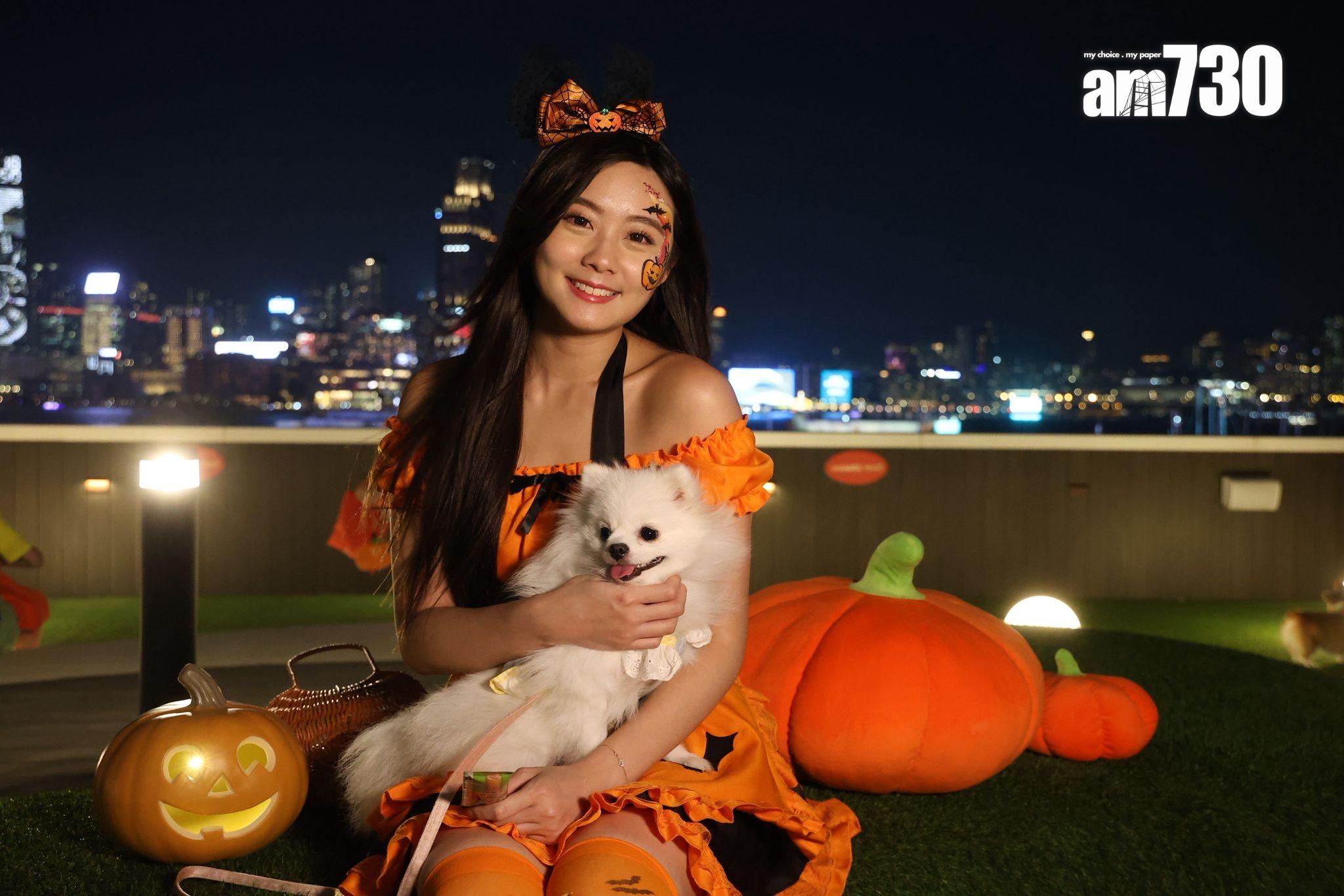 韓團ENHYPEN快閃店登陸銅鑼灣wwwtc mall 料本月人流增逾8%|商場動態