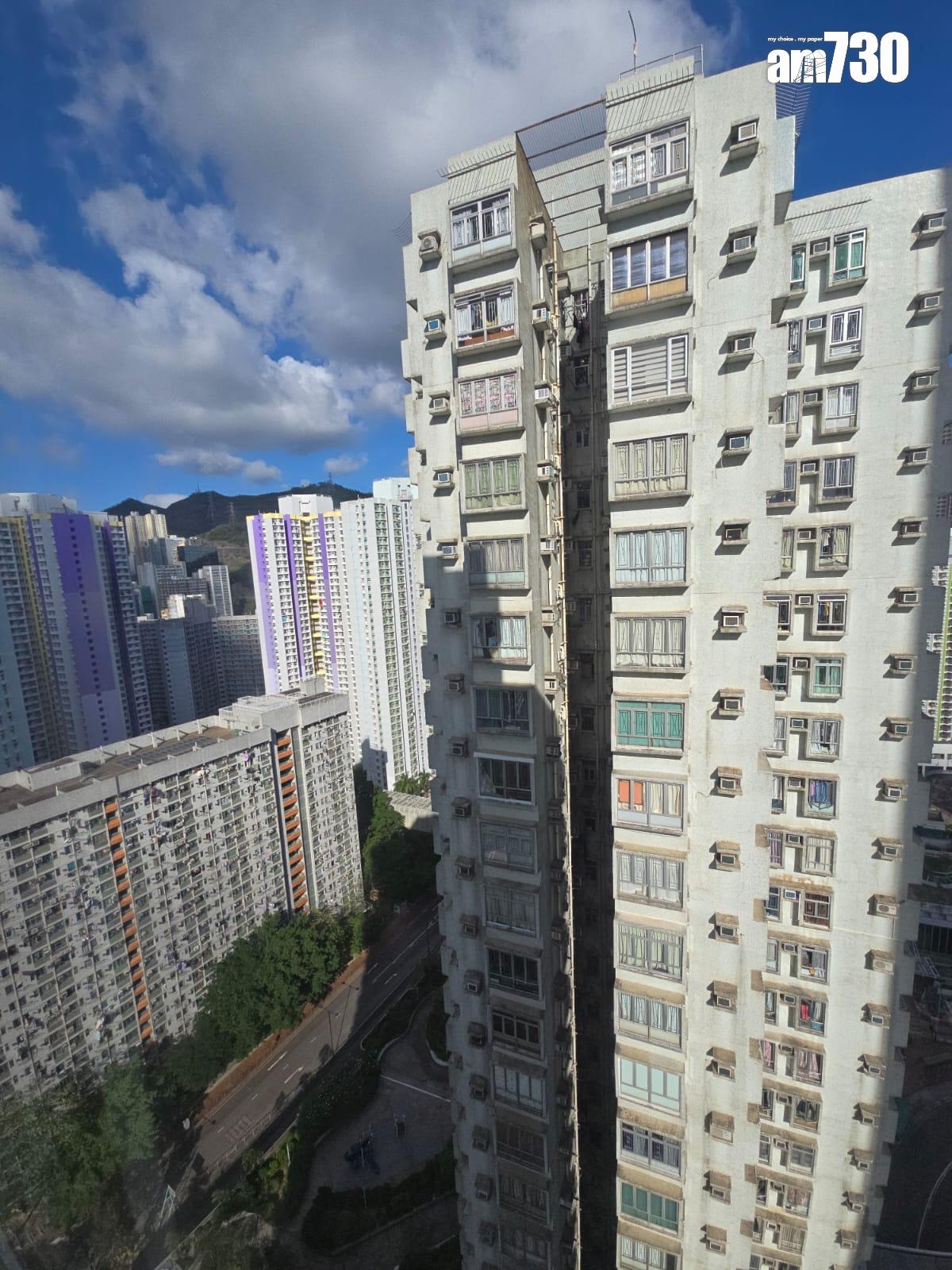 區內客搵盤搵足兩年 成功講價平「1球」買葵涌廣場三房 代理:造價創今年新高(多圖)|二手樓成交