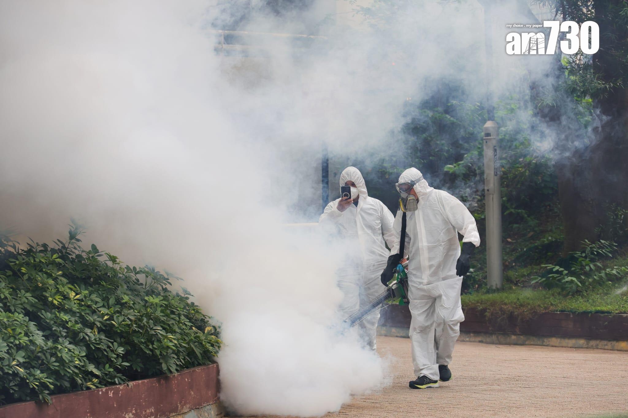 政府加強滅蚊工作。(資料圖片)