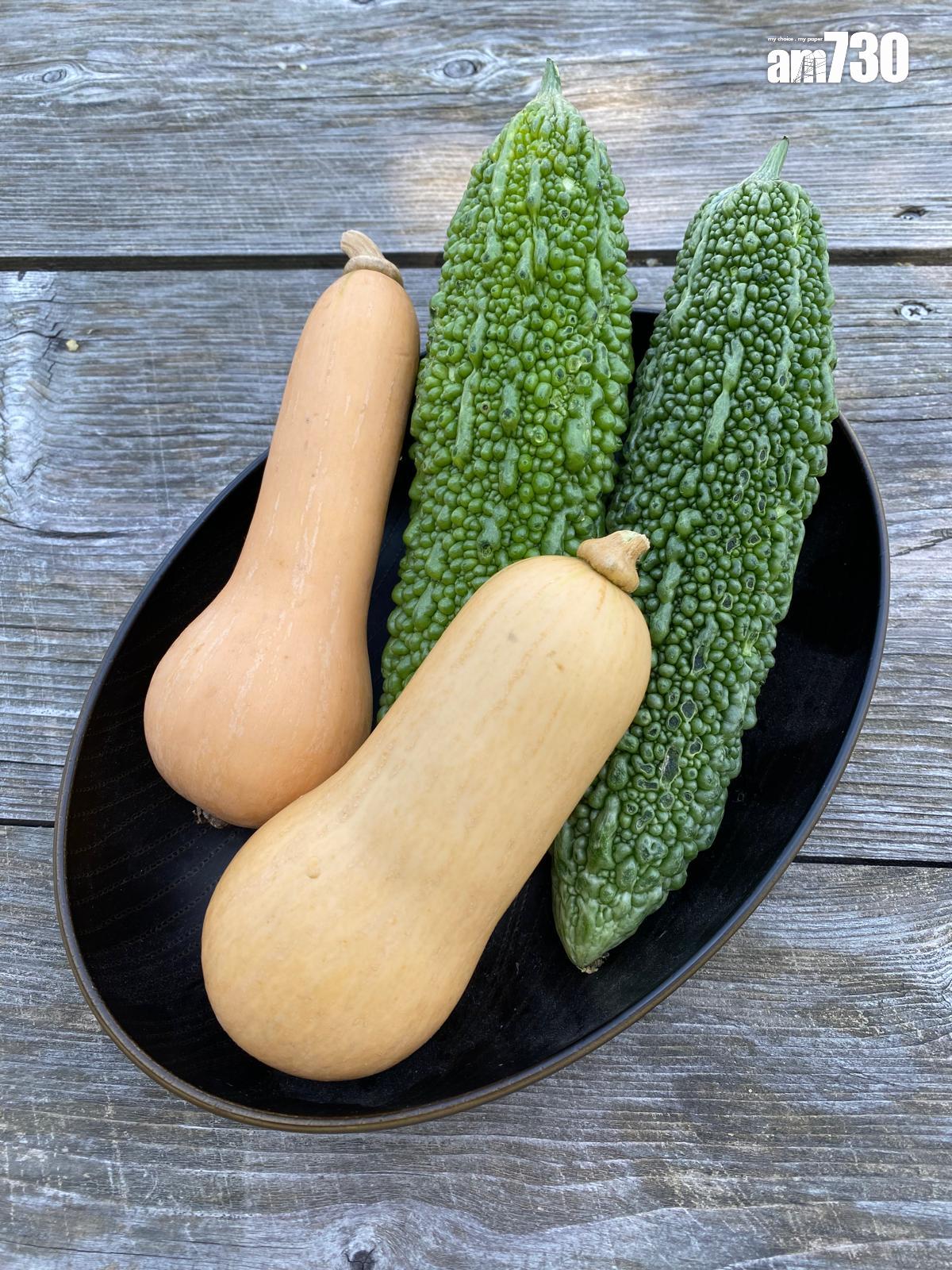 農莊出產的奶油南瓜和沖繩種涼瓜。