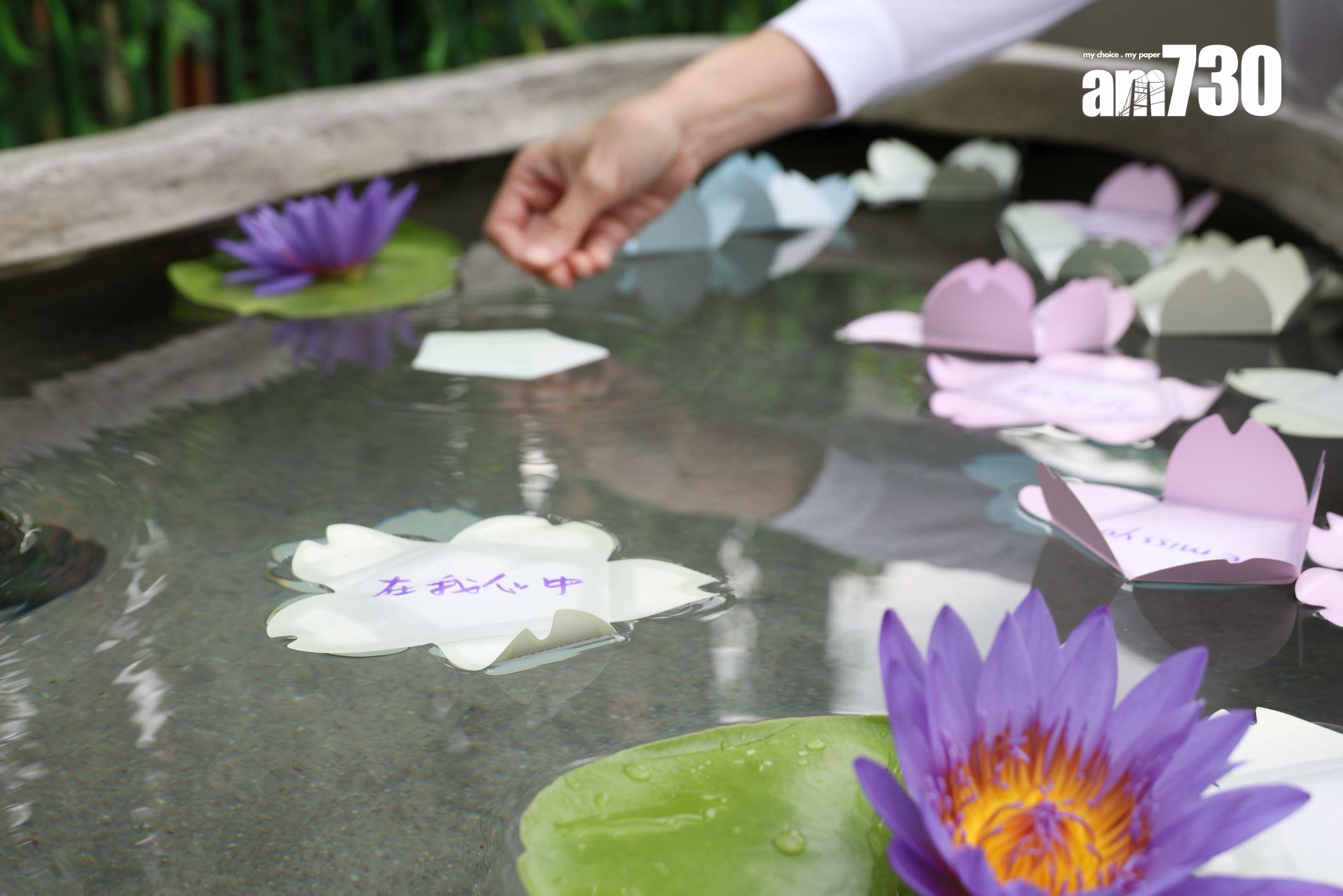 撒灰紀念花園及永愛園旁設「靜念池」,讓親友將寫下對逝者祝福的心意摺紙放入水中寄托思念。(周令知攝)