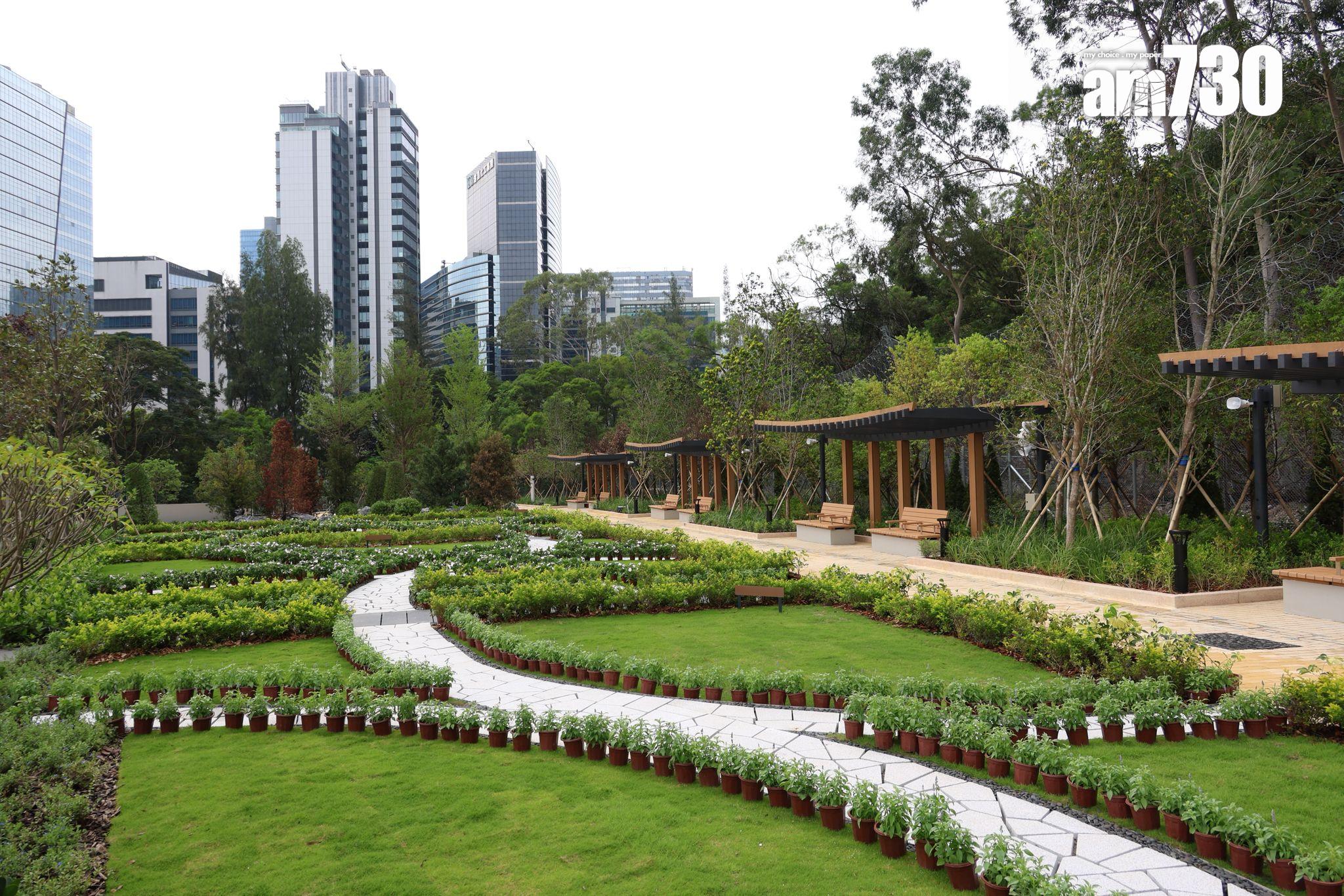 撒灰紀念花園種植了本港常見的花種和樹種,以白色、黃色、藍色花劃分為三個不同主題的區域,以及一個石春撒灰區。(周令知攝)