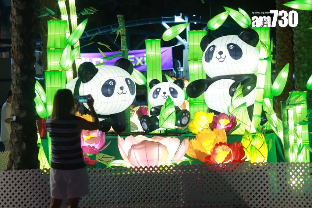 維園綵燈會(資料相片)