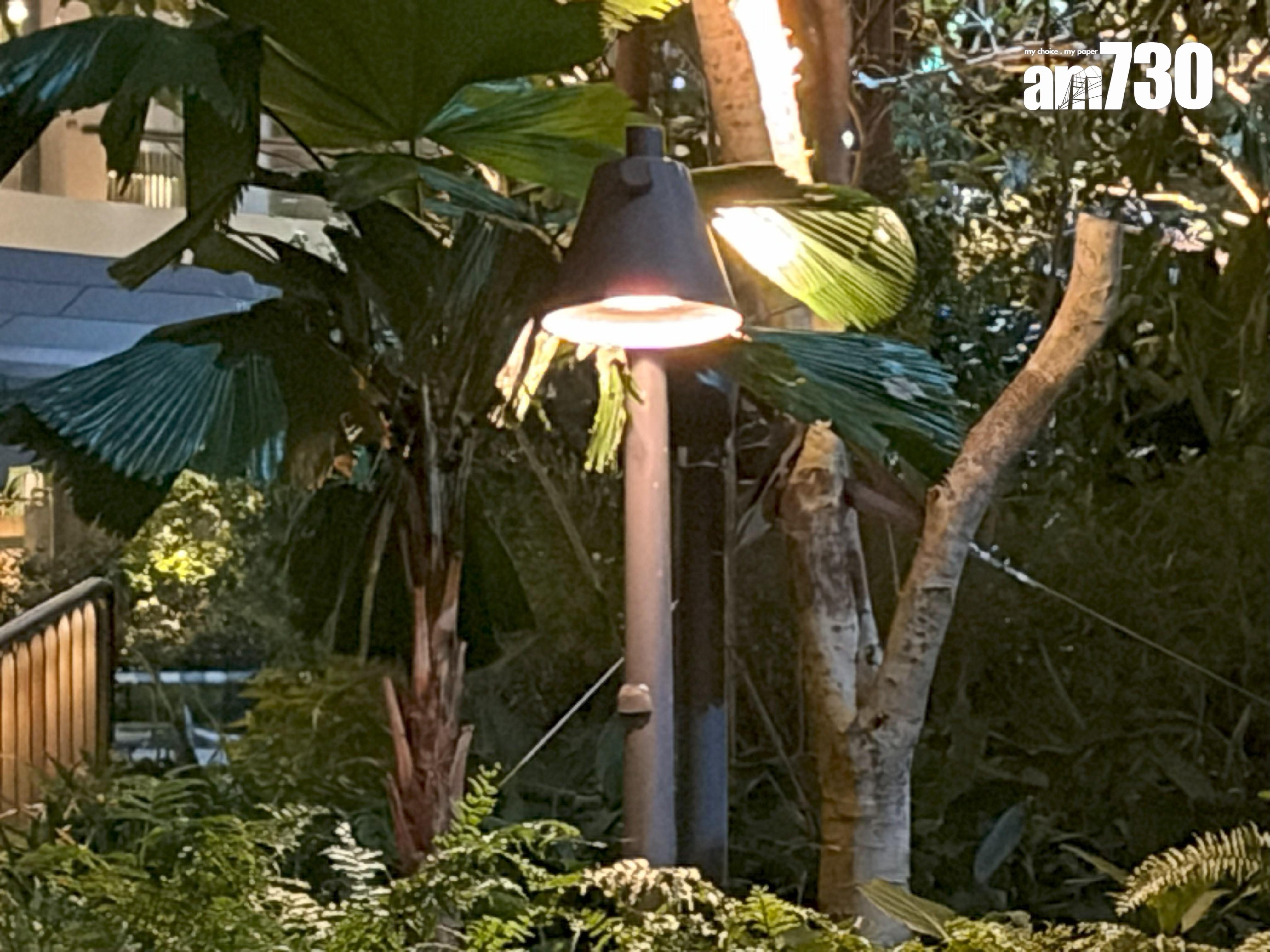 iPhone Air夜景10X(260mm)試相。