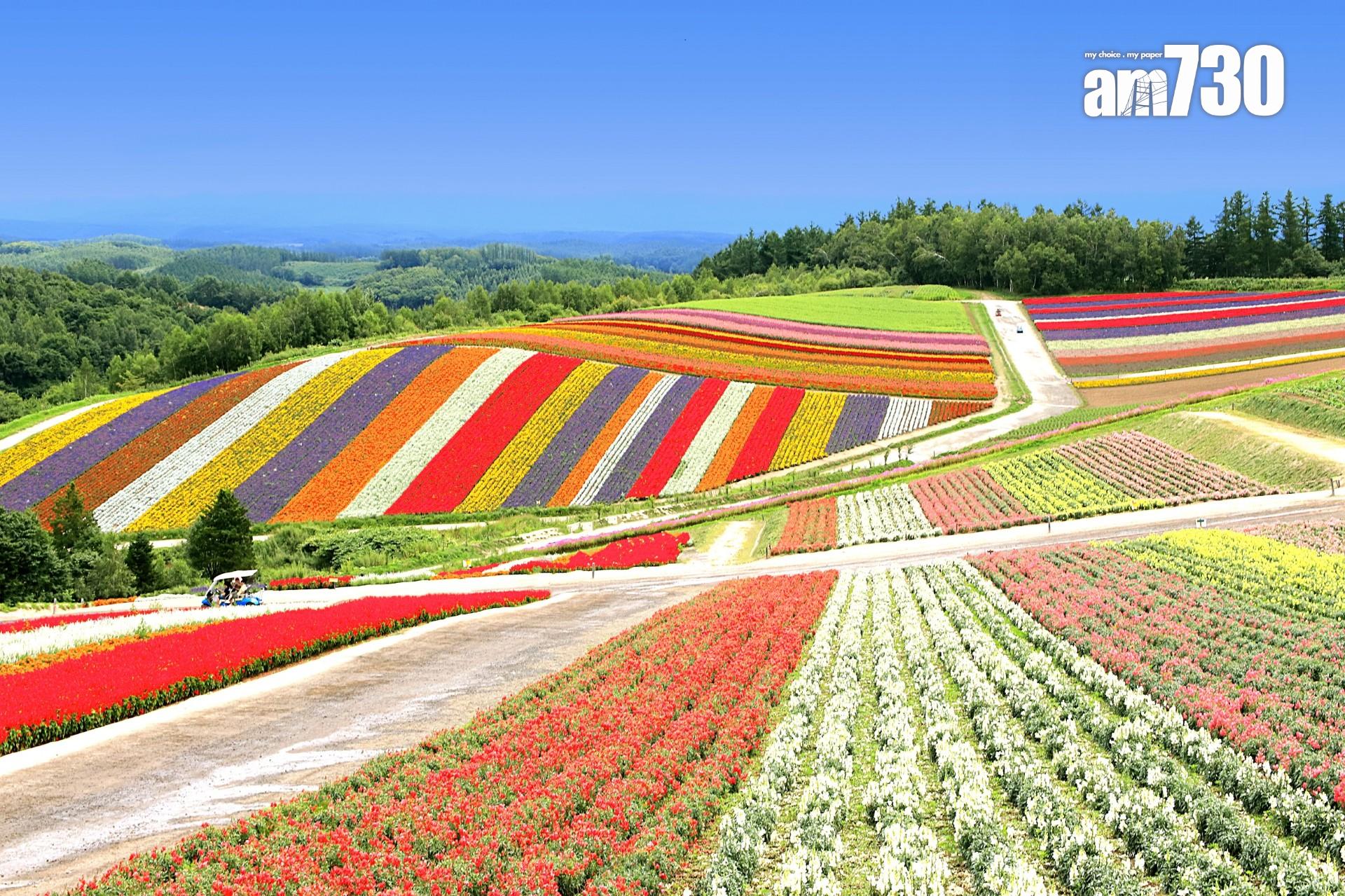 北海道富良野EZO MURASAKI 兩棟連停車場1686萬港元放售(多圖)|海外樓市