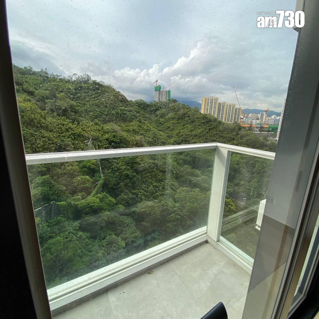 一個原因半新樓業主揸1年即平手賣樓走!上車客把握時機410萬買一房(有圖)|二手樓成交