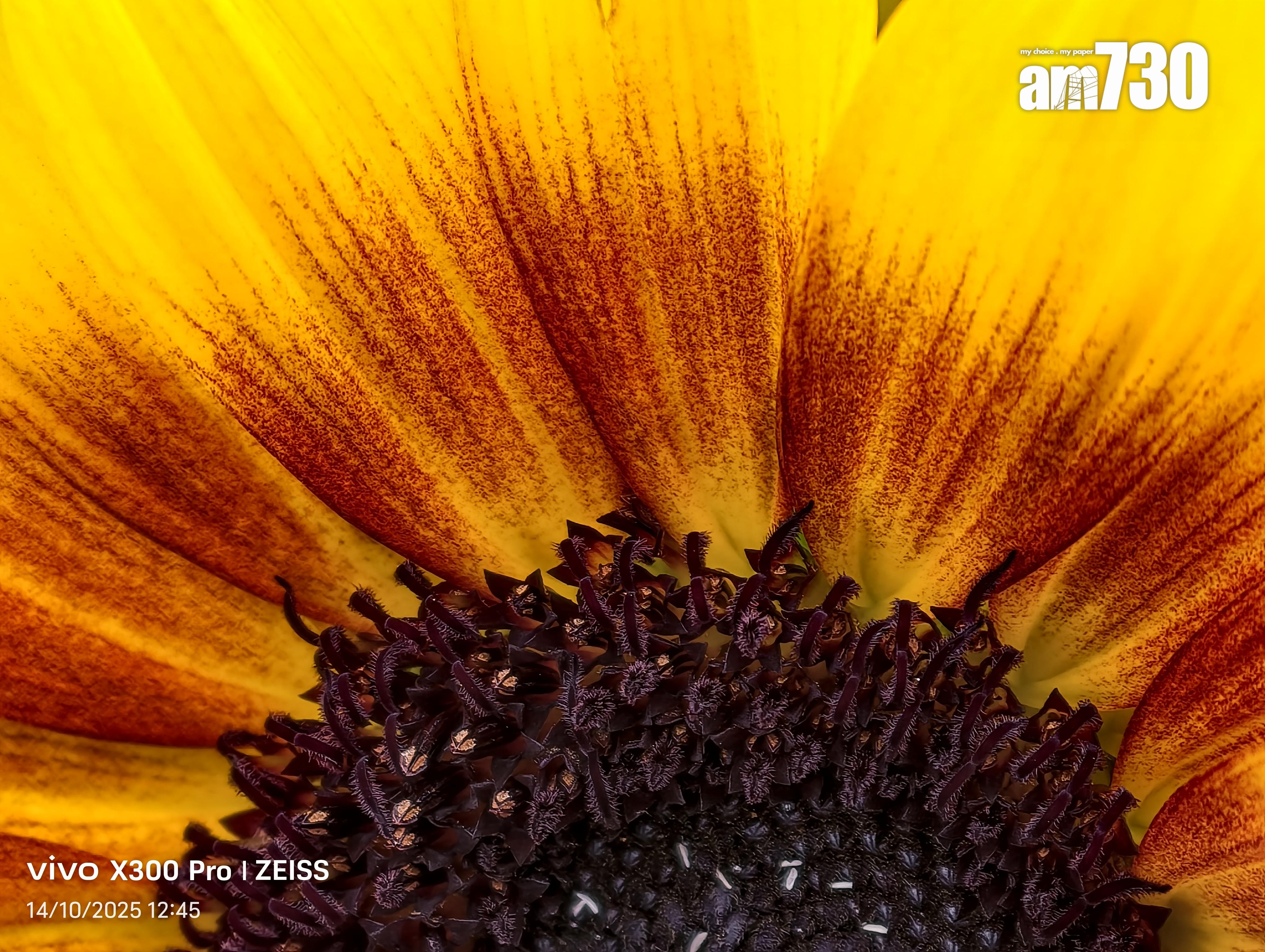 vivo X300 Pro微距式試相。