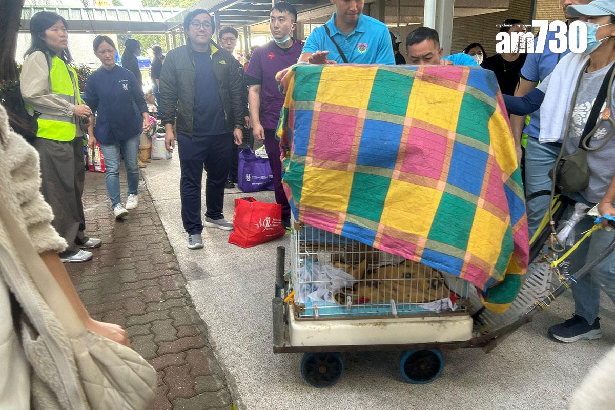 大埔宏福苑五級火發生後,陸續有寵物被救出。(資料圖片/朱慧恩攝)