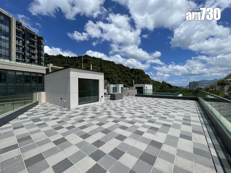 沙田嶺已上樓書洋房新盤淪銀主盤放售 市值2.4億