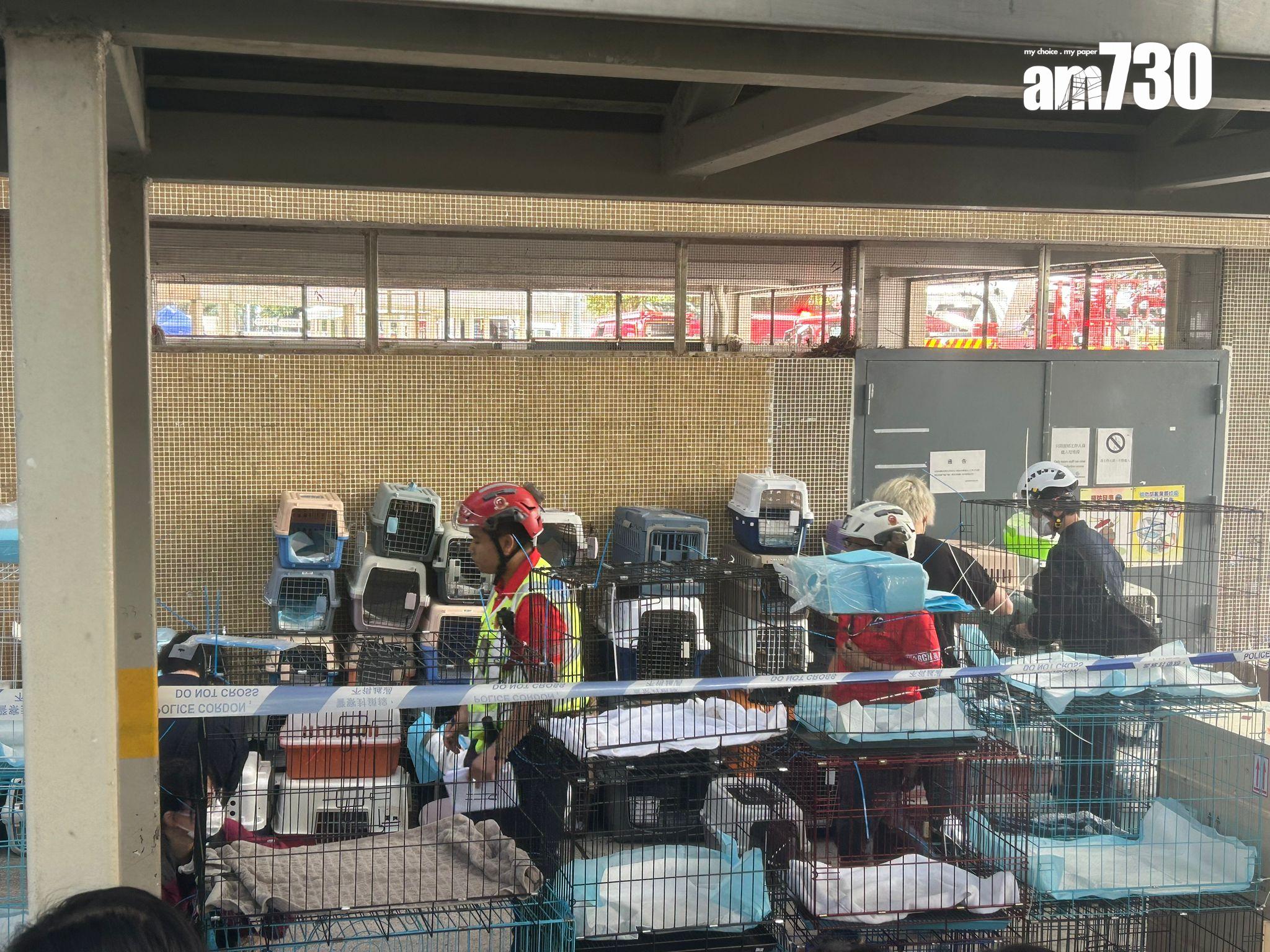 大埔宏福苑五級火,見救援人員連日來在火場救出多隻寵物。(朱慧恩攝)